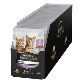 Caixa de Comida Húmida para Gato Júnior Peru