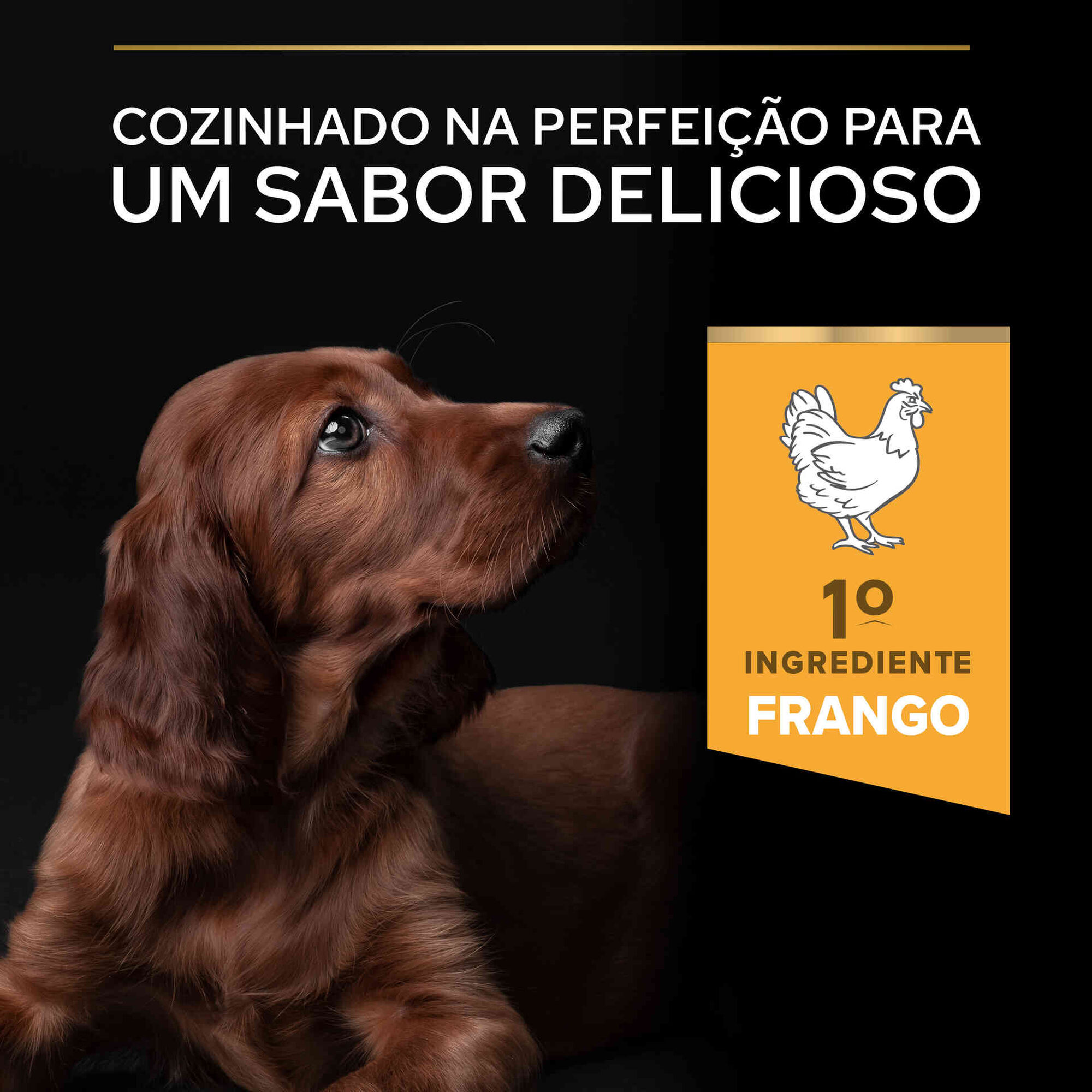 Ração para Cão Júnior Maxi Athletic Healthy Start Frango