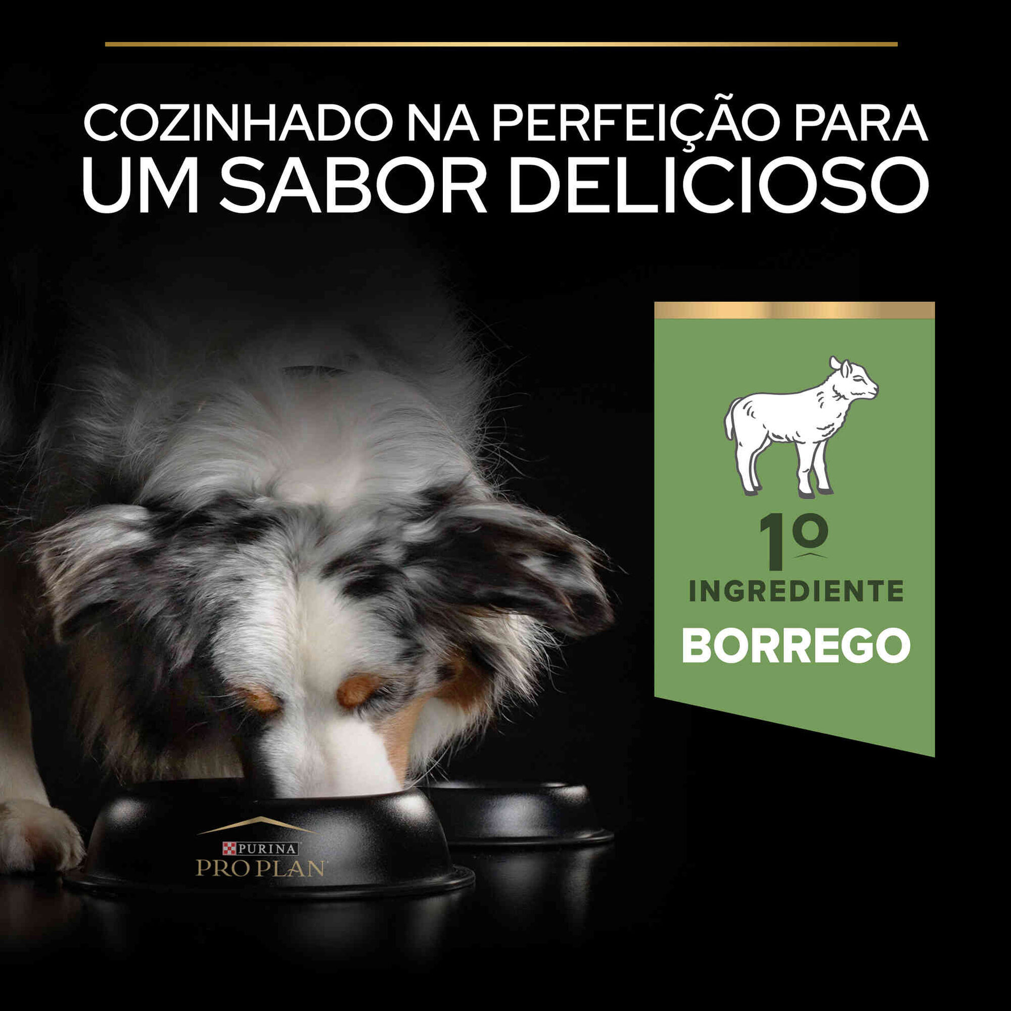 Ração para Cão Light/Esterilizado Borrego