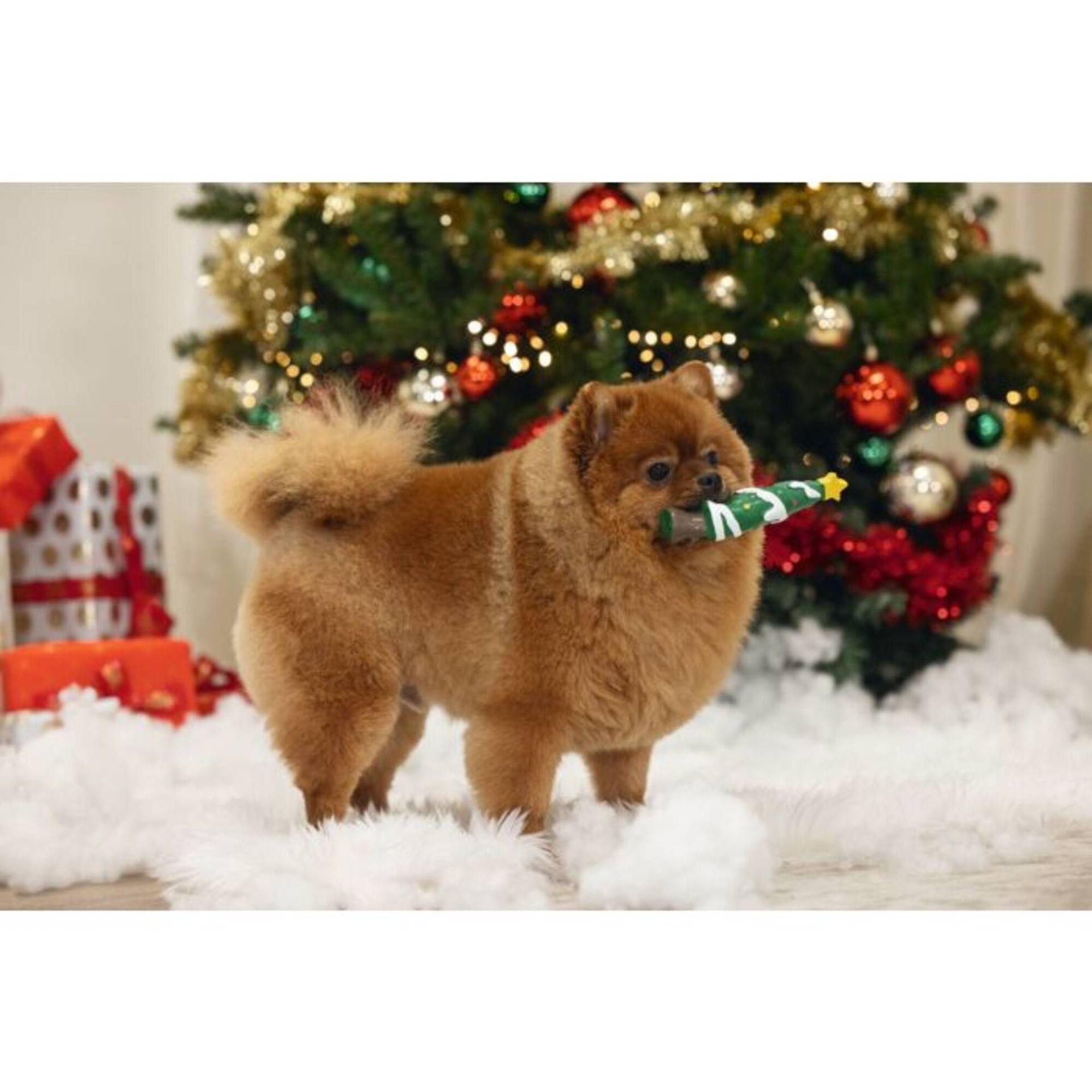 Brinquedo para Cão Árvore de Natal