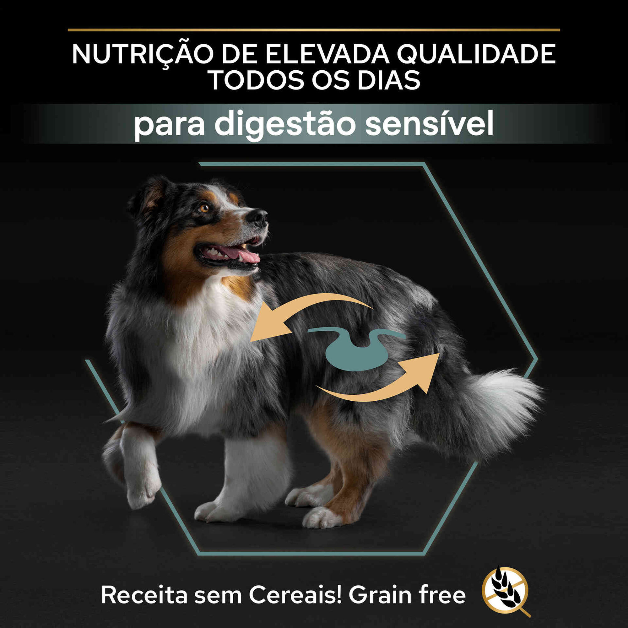 Ração para Cão Adulto Médio e Maxi Sem Cereais Sensitive Digestion Peru