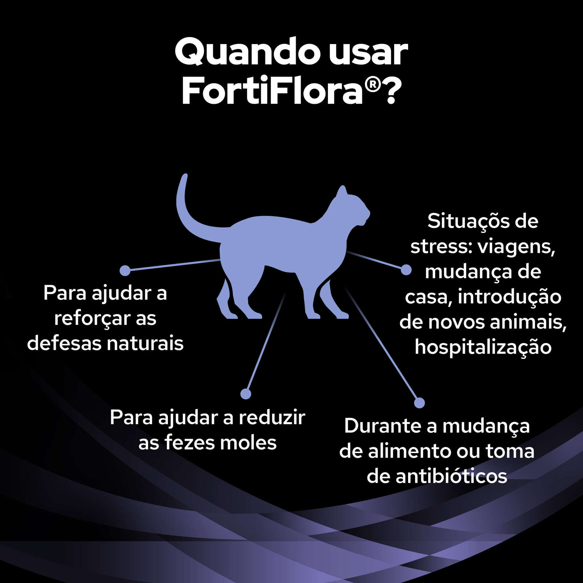 Suplemento Fortiflora para Gato Suplemento Fortiflora para Gato