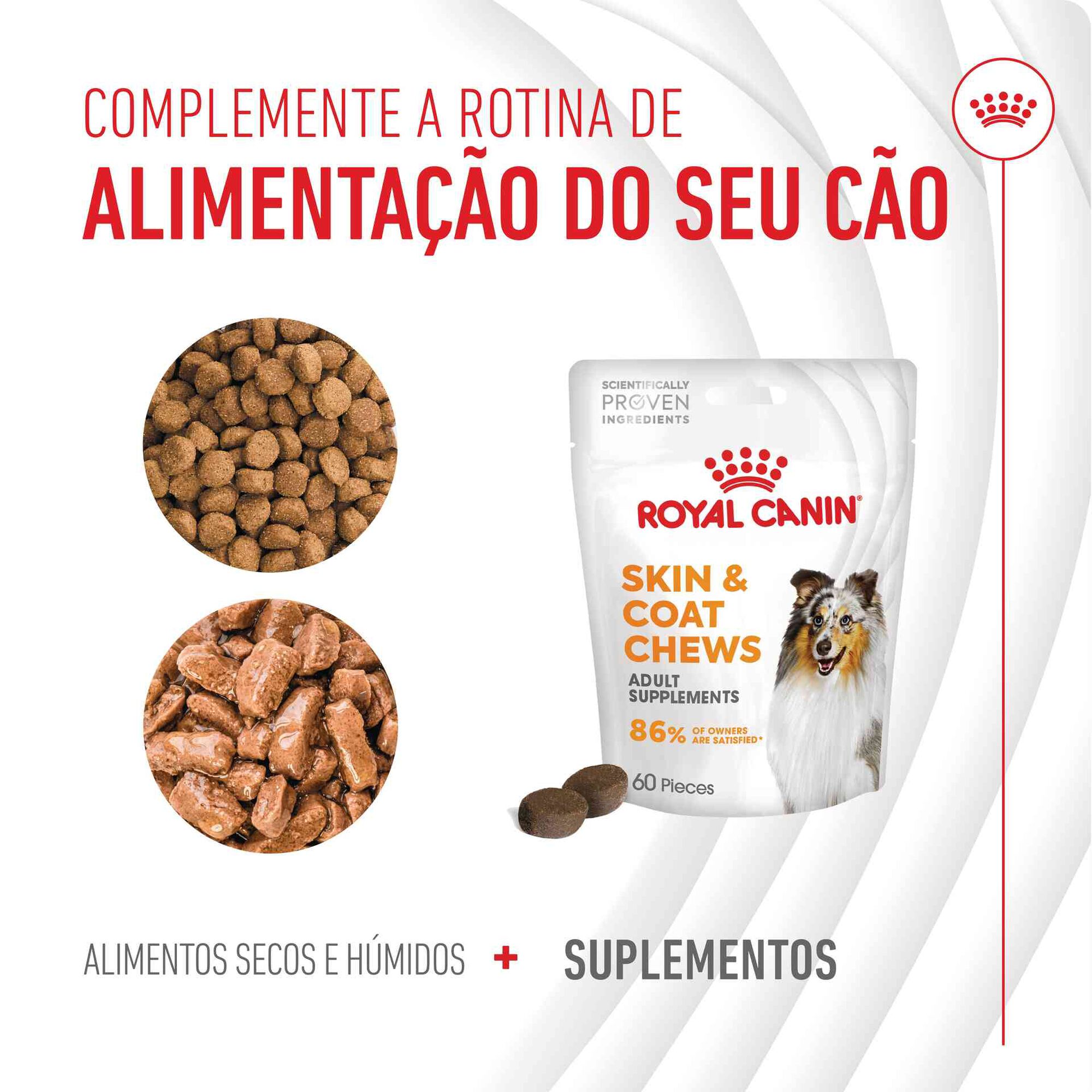 Suplemento Snack para Cão Adulto Skin&Coat Chews