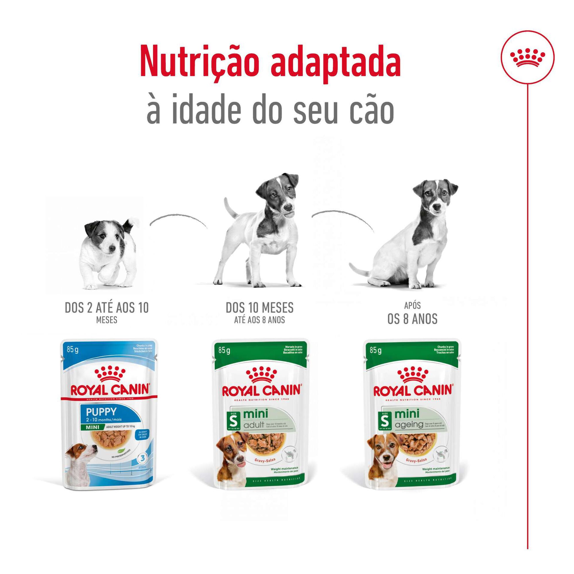 Comida Húmida para Cão Mini Saquetas