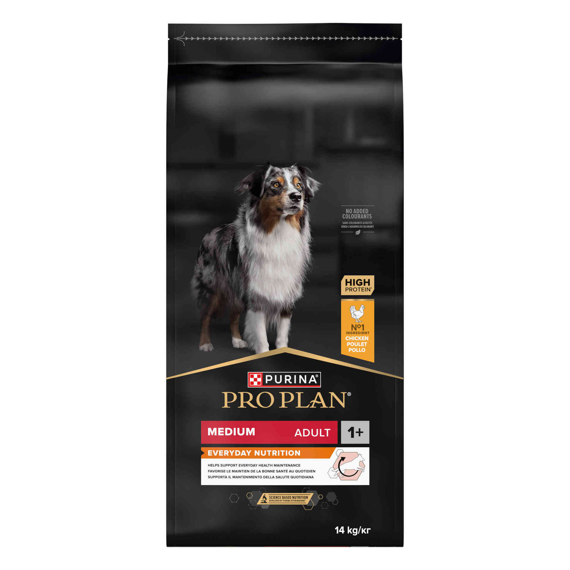 Ração para Cão Adulto Médio Everyday Nutrition Frango