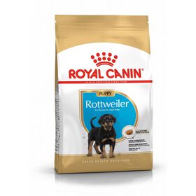Ra&ccedil;&atilde;o para C&atilde;o J&uacute;nior Rottweiler Royal Canin