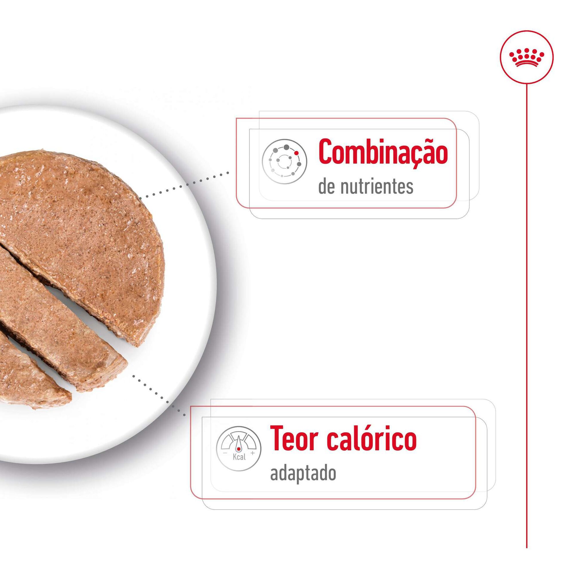 Comida Húmida para Cão Sénior Mini