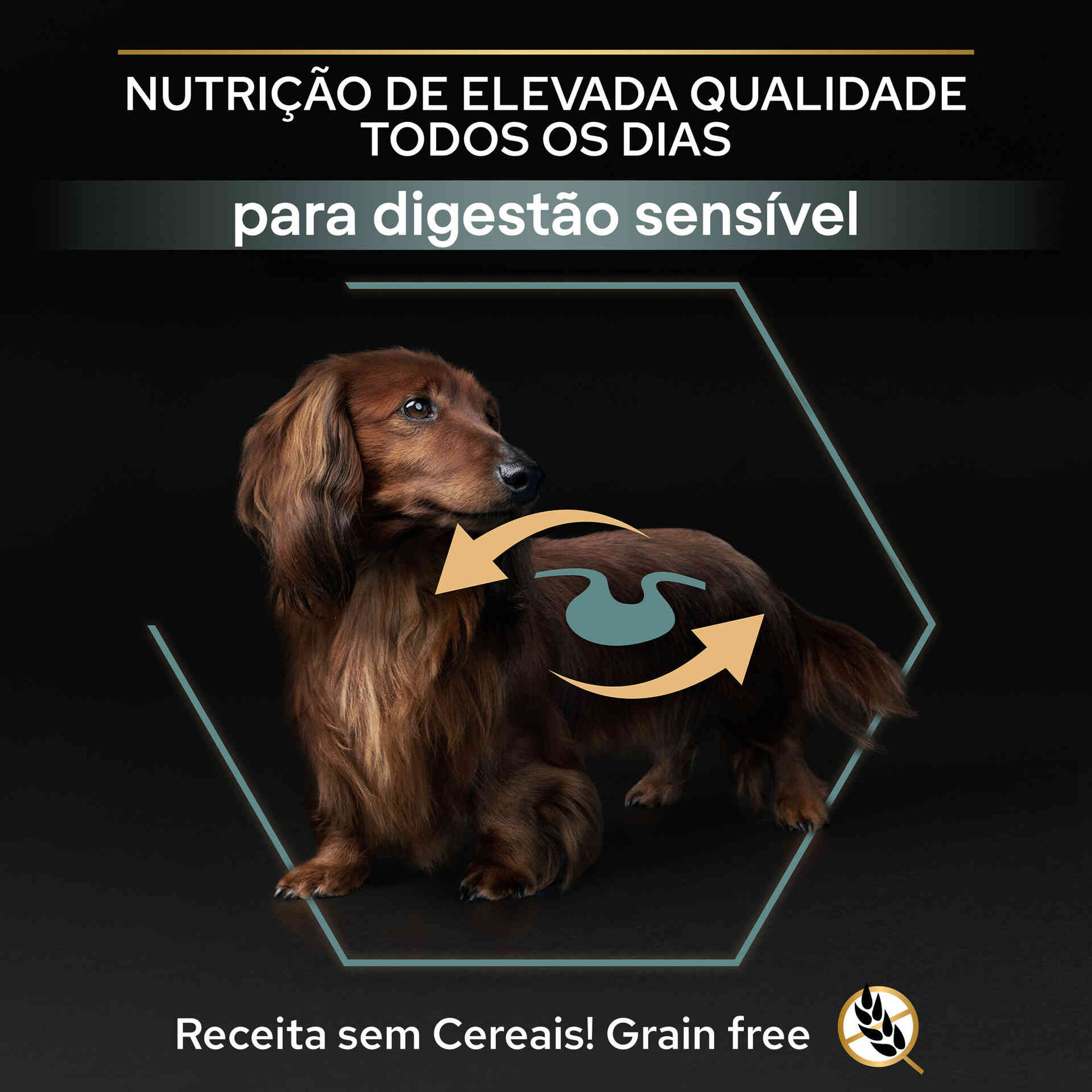Ração para Cão Adulto Mini Sem Cereais Sensitive Digestion Peru
