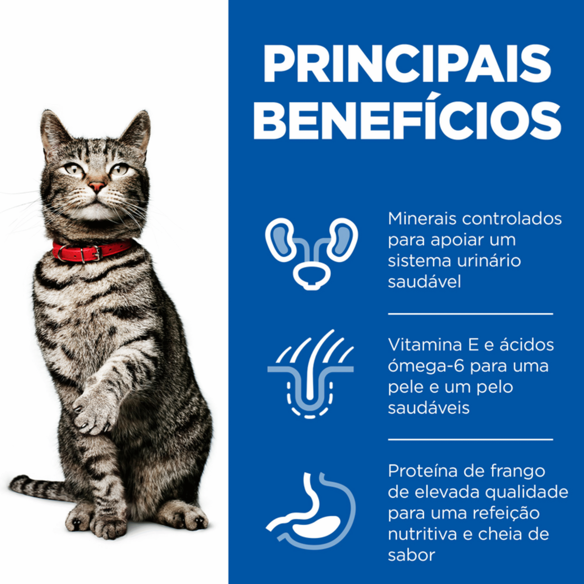 Ração para Gato Adulto Science Plan Urinary Frango
