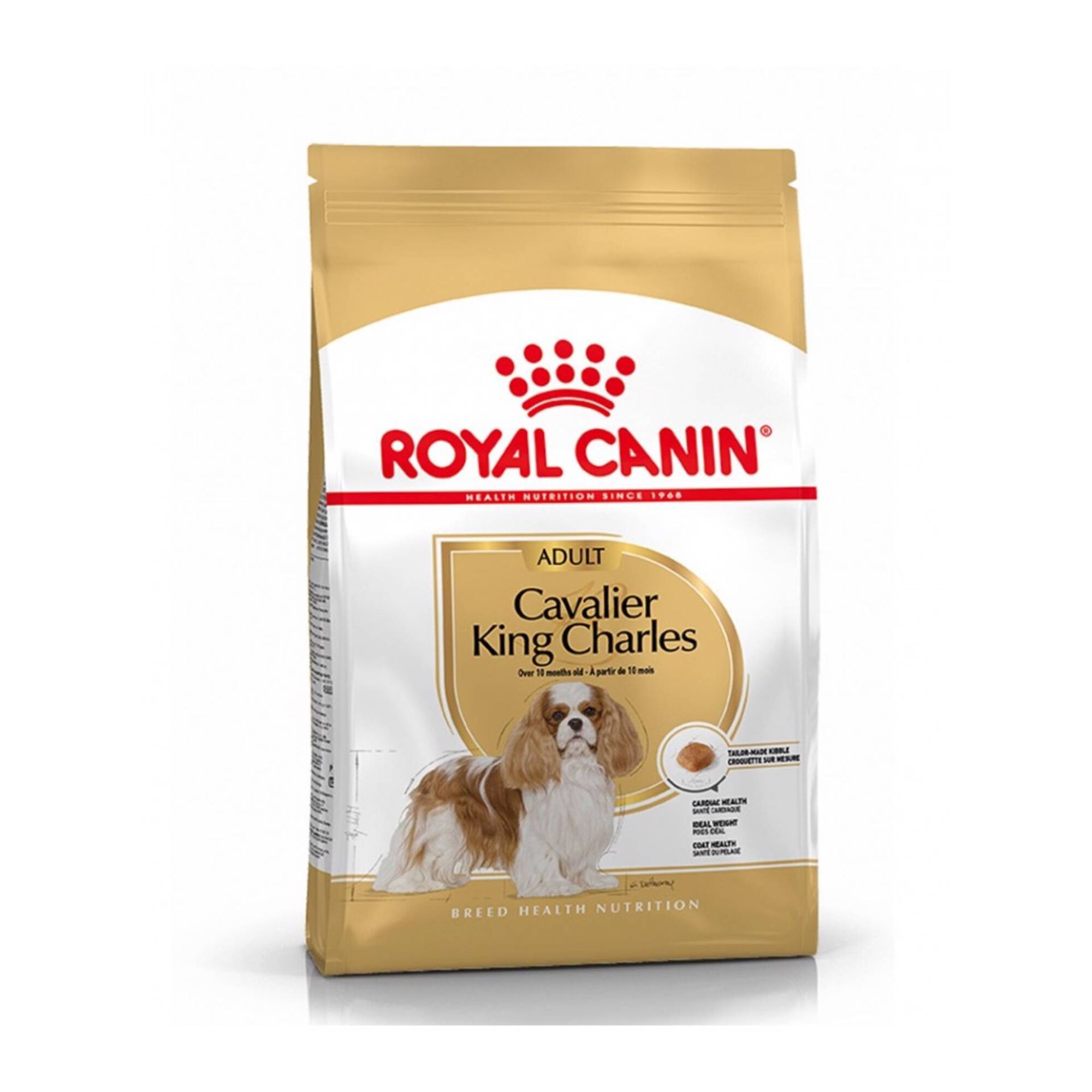 Ração para Cão Adulto Cavalier King Charles