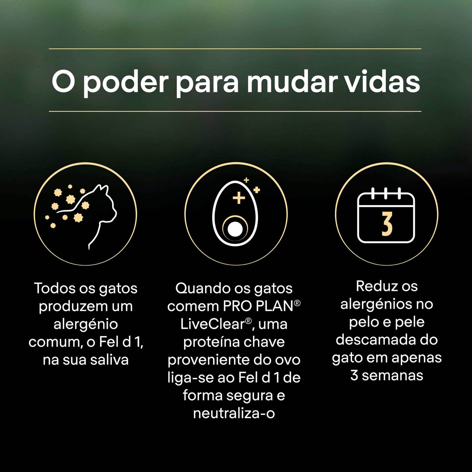 Ração para Gato Júnior Live Clear Peru