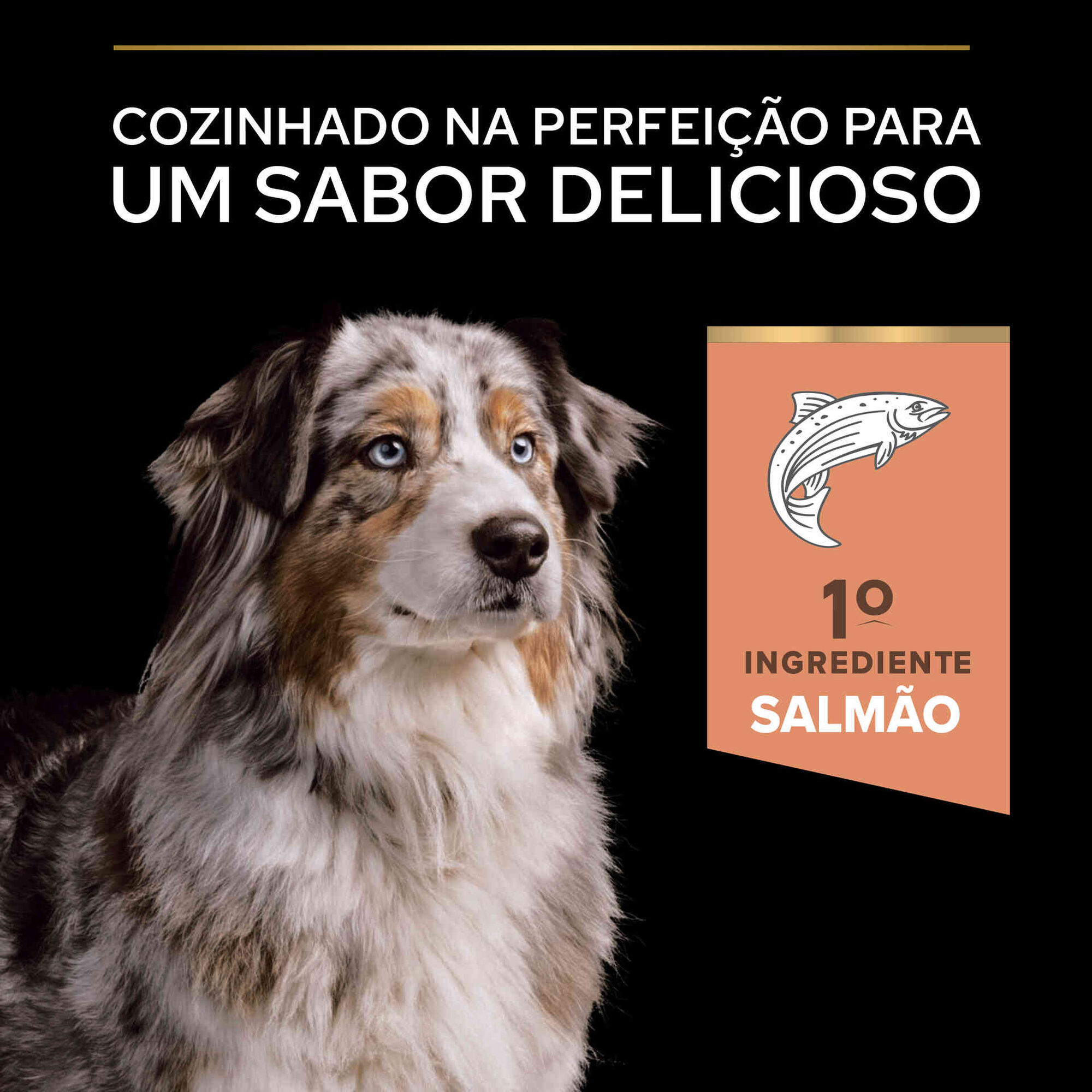 Ração para Cão Adulto Ageing 7+ Médio e Maxi Sensitive Skin Salmão