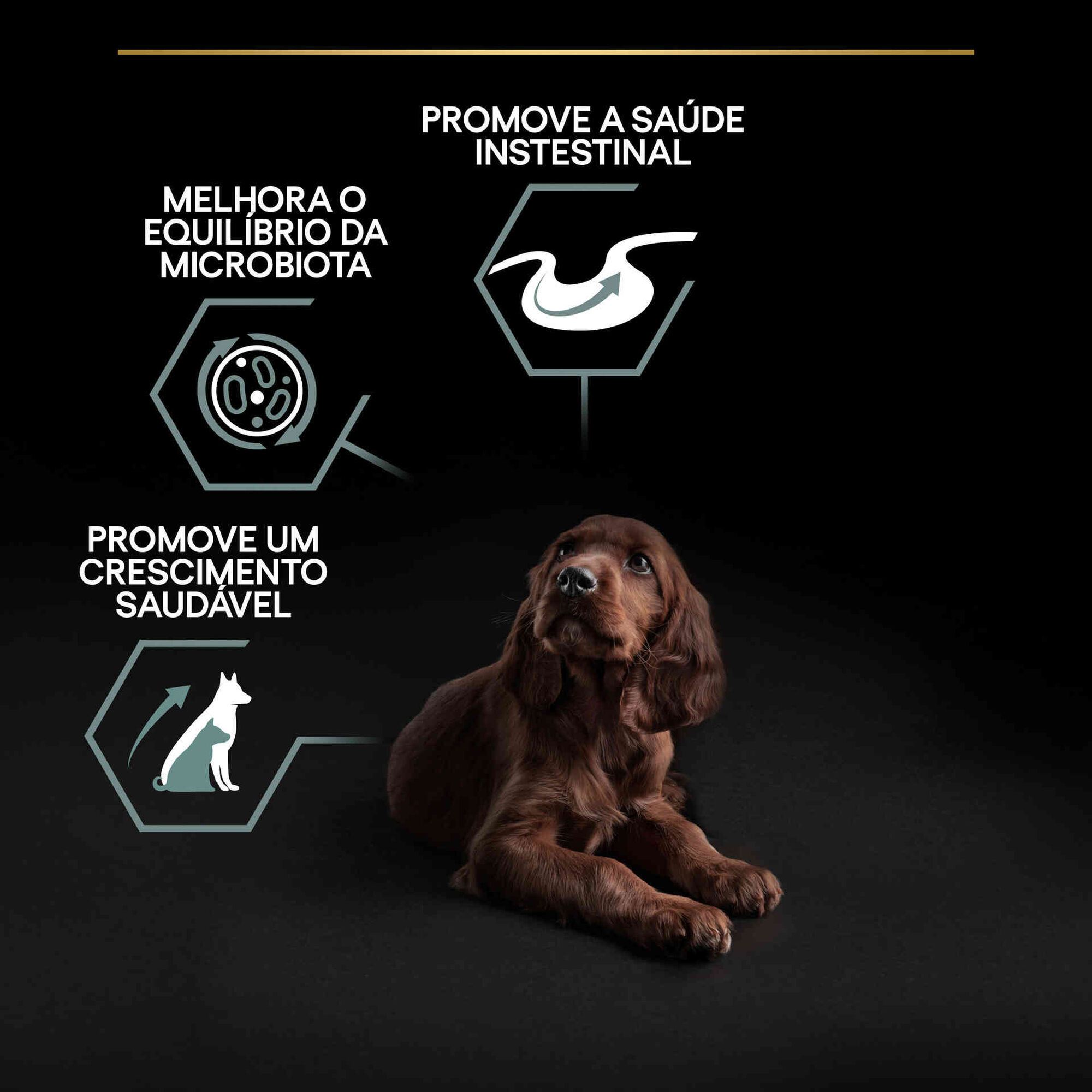 Ração para Cão Júnior Athletic Sensitive Digestion Borrego