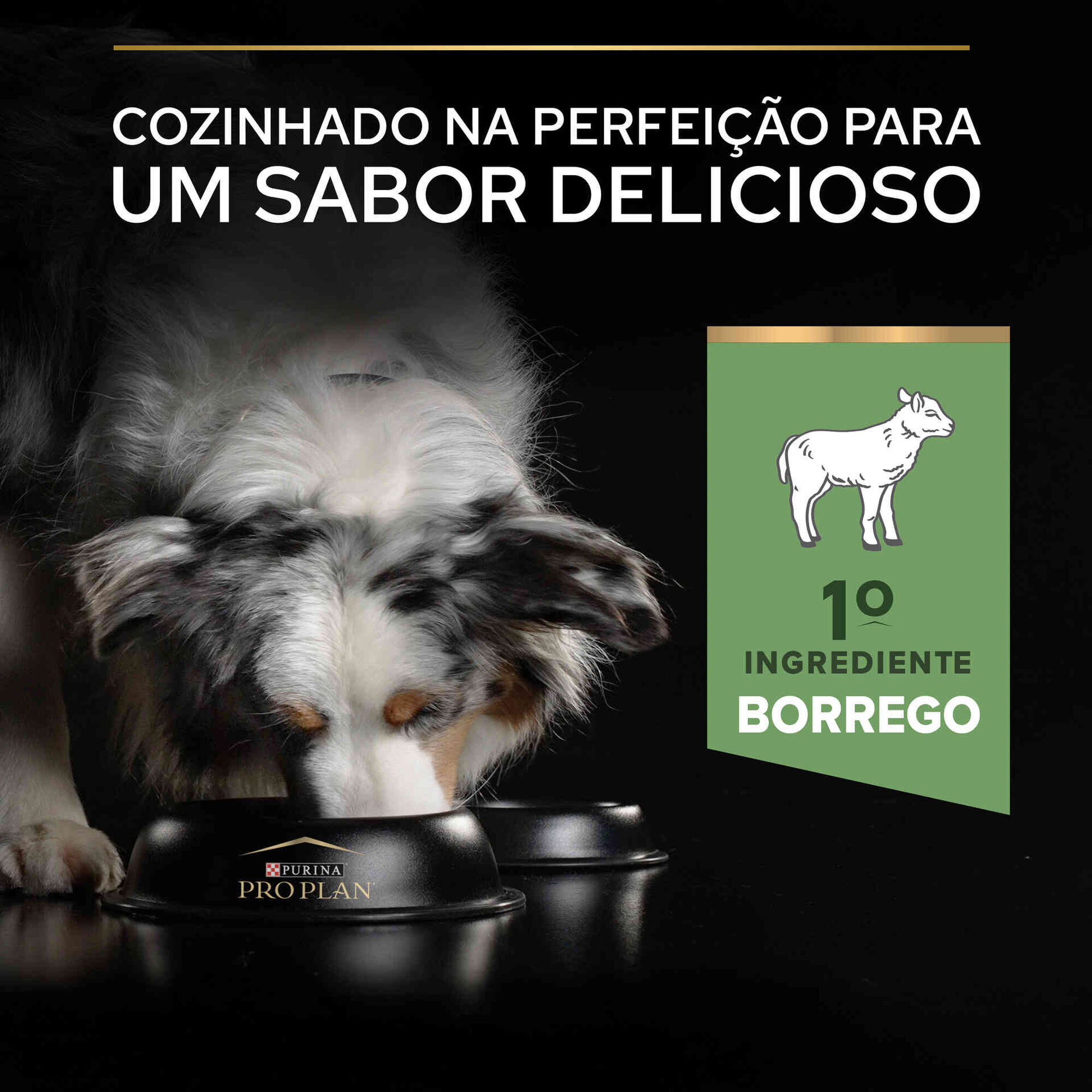 Ração para Cão Adulto Médio Sensitive Digestion Borrego
