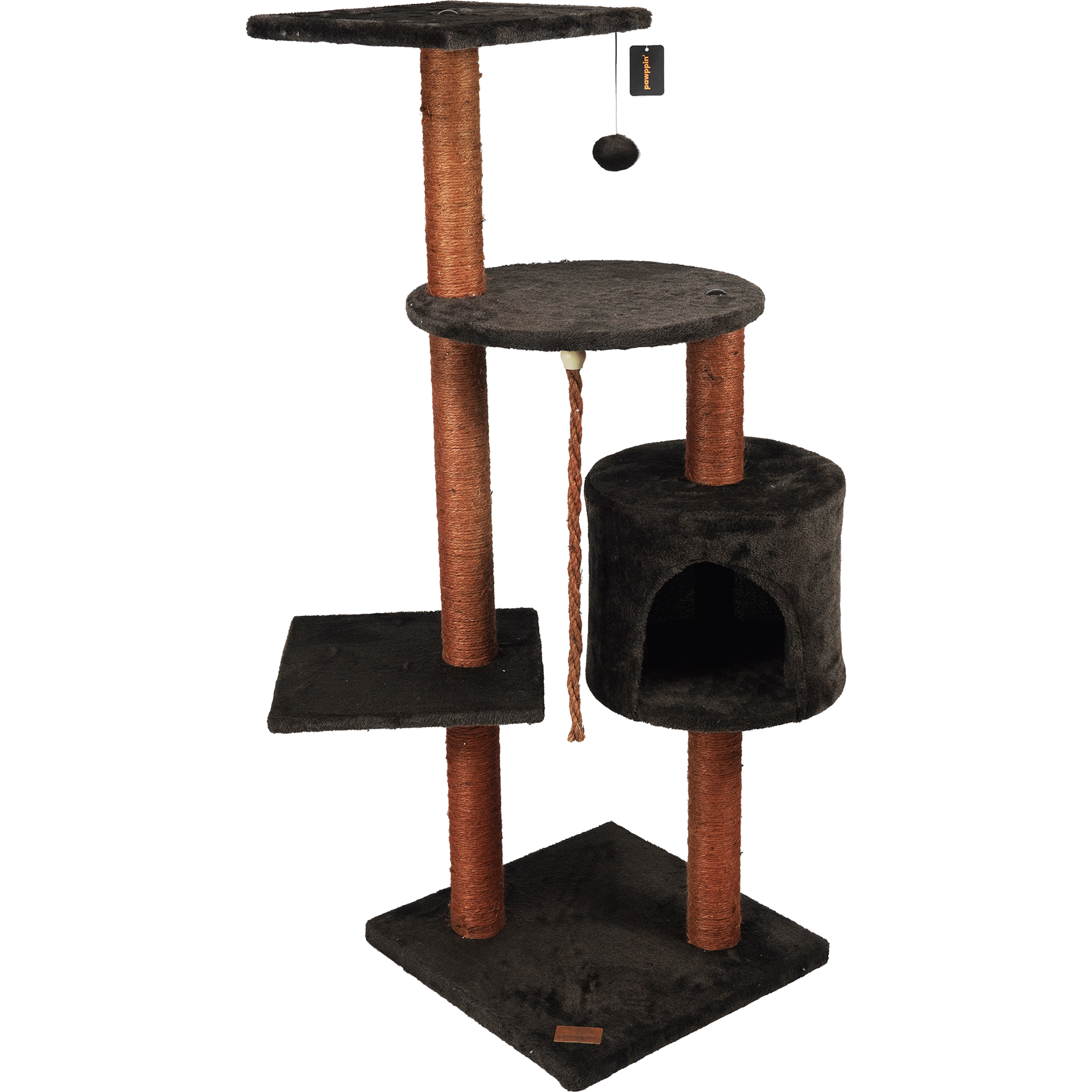 Arranhador para Gato American Shorthair Arranhador para Gato American Shorthair
