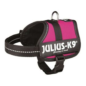 Peitoral para Cão Rosa