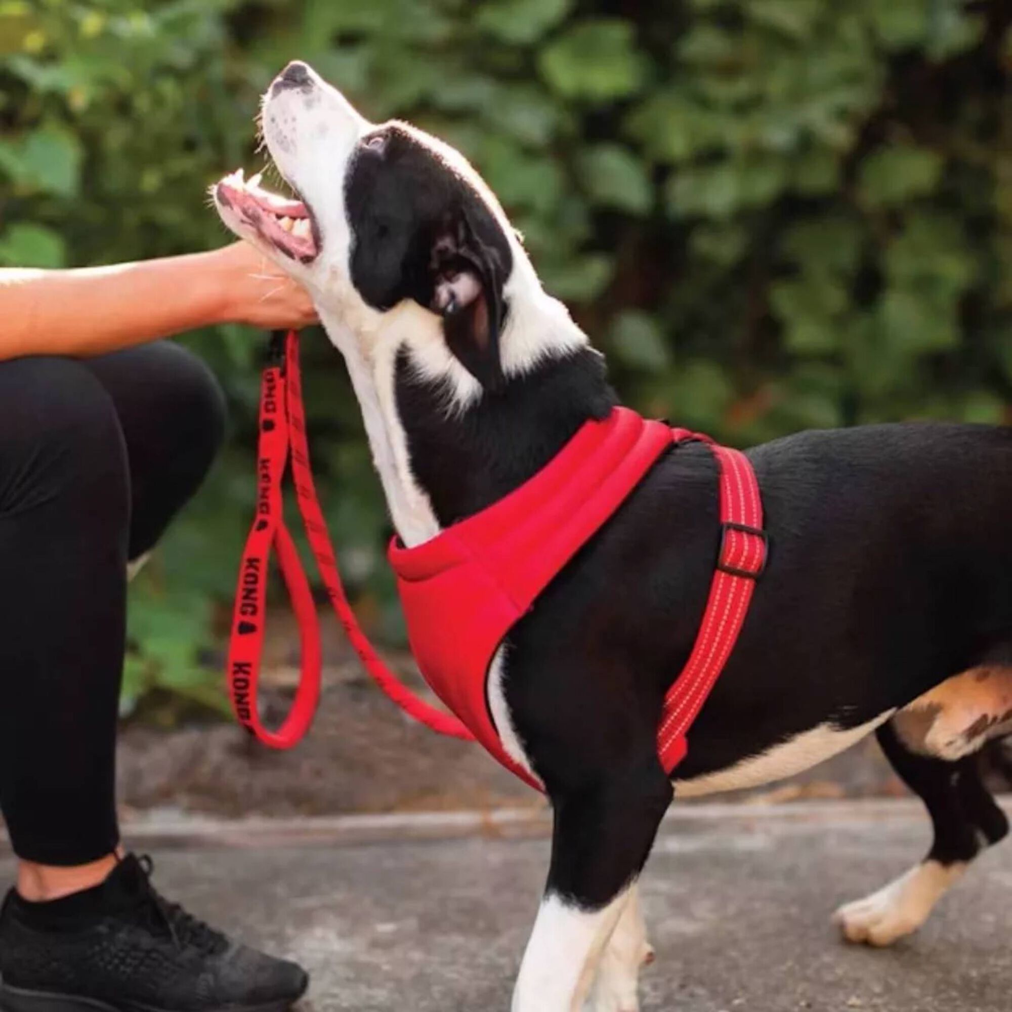 Peitoral para Cão Comfort Vermelho