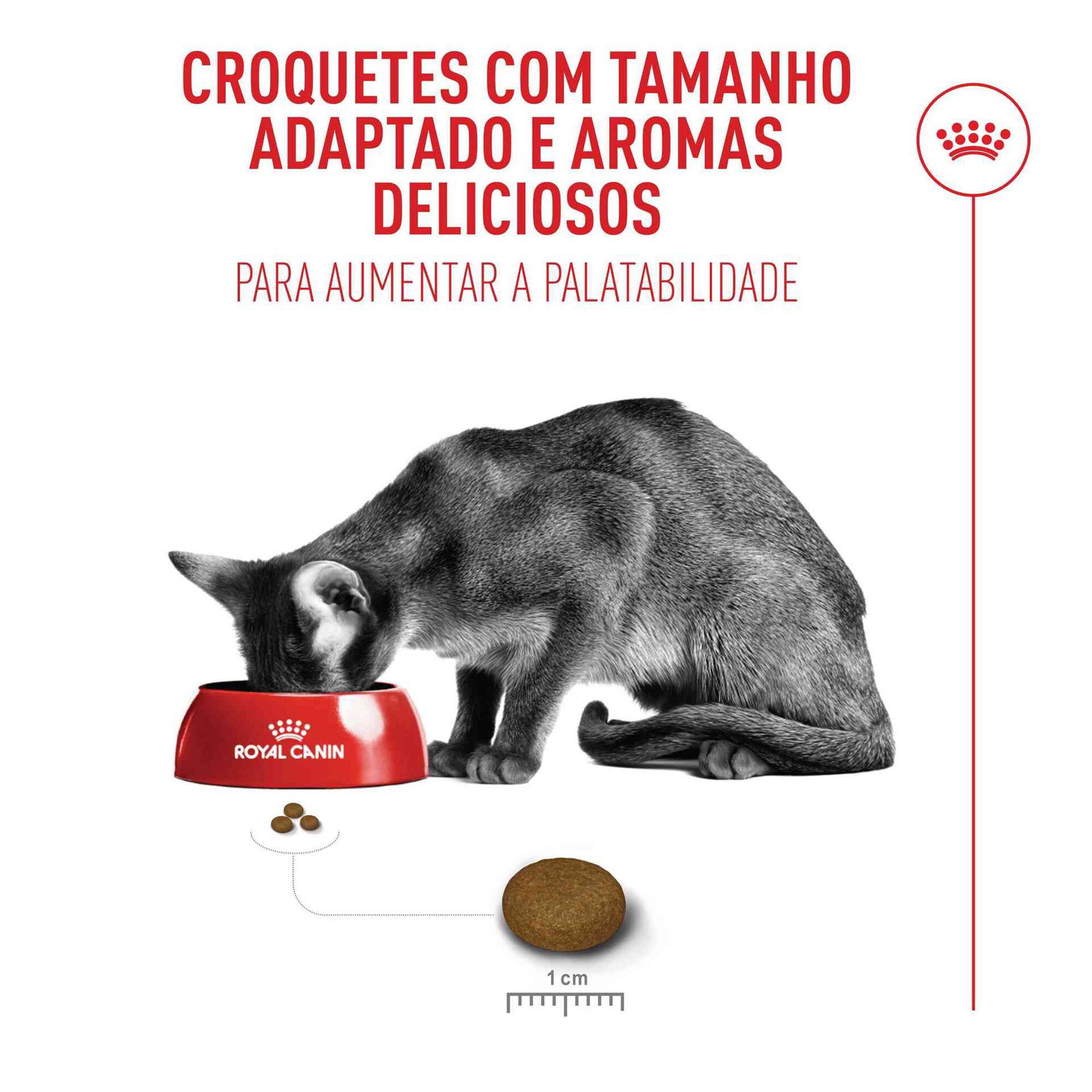 Ra&ccedil;&atilde;o para Gato Adulto Fussy Exigent Royal Canin