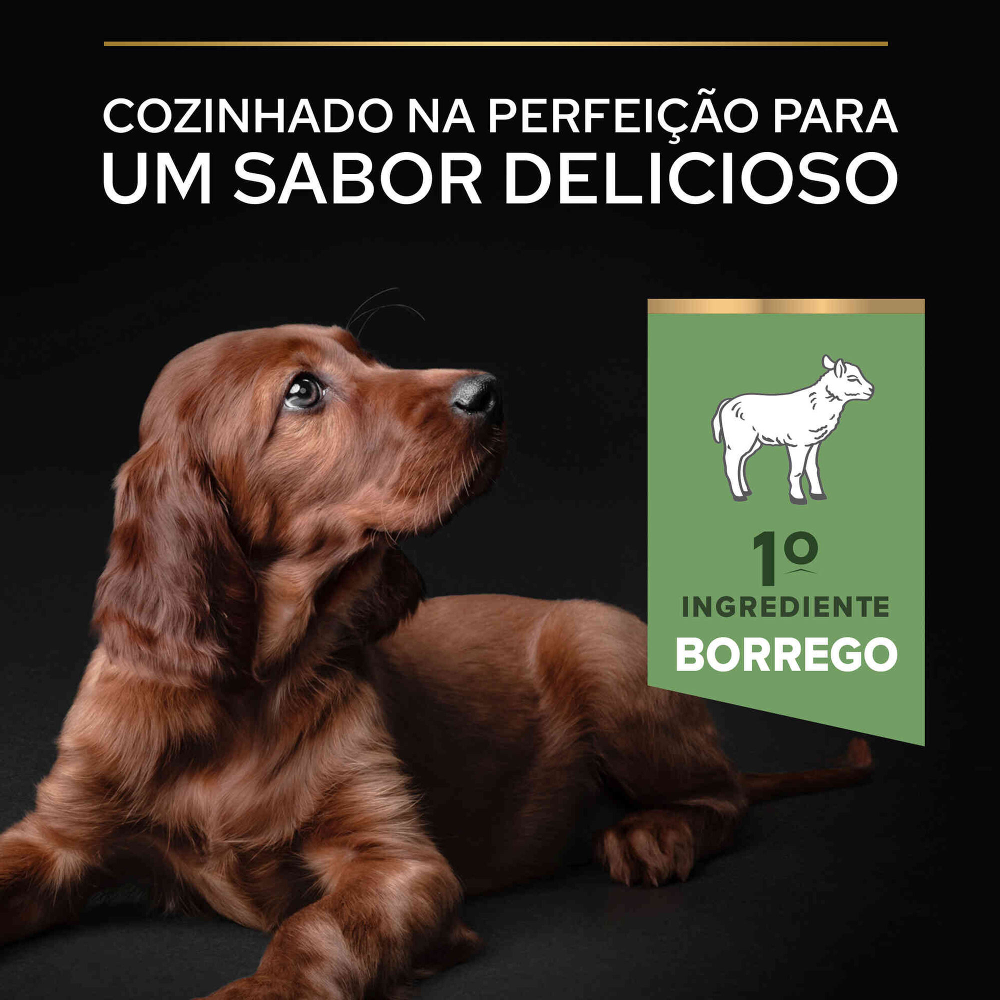 Ração para Cão Júnior Athletic Sensitive Digestion Borrego