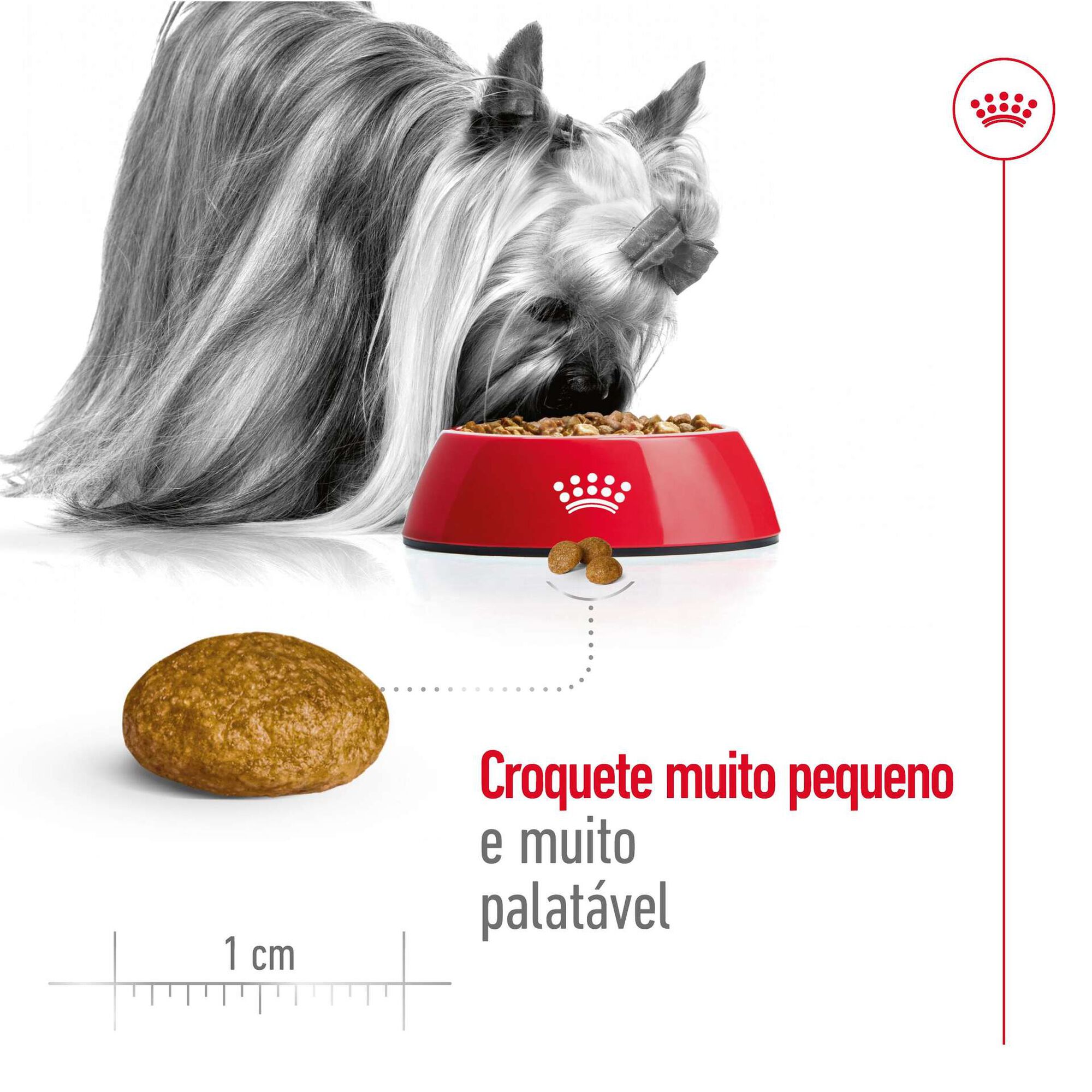 Ração para Cão Adulto Mini Ração para Cão Adulto Mini
