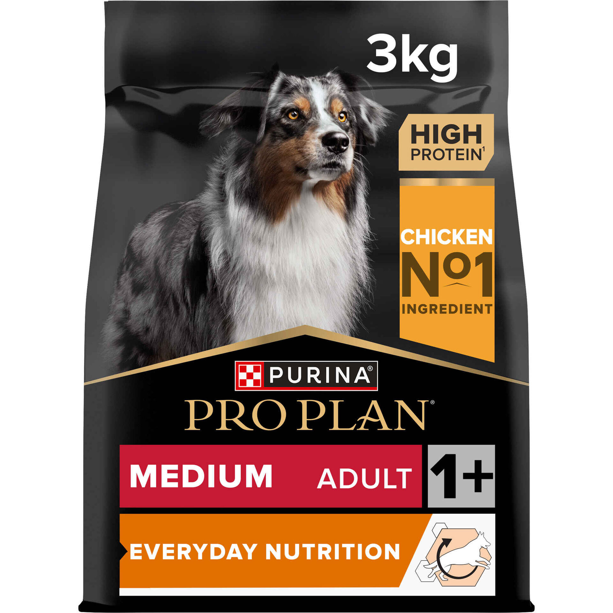 Ração para Cão Adulto Médio Everyday Nutrion Frango