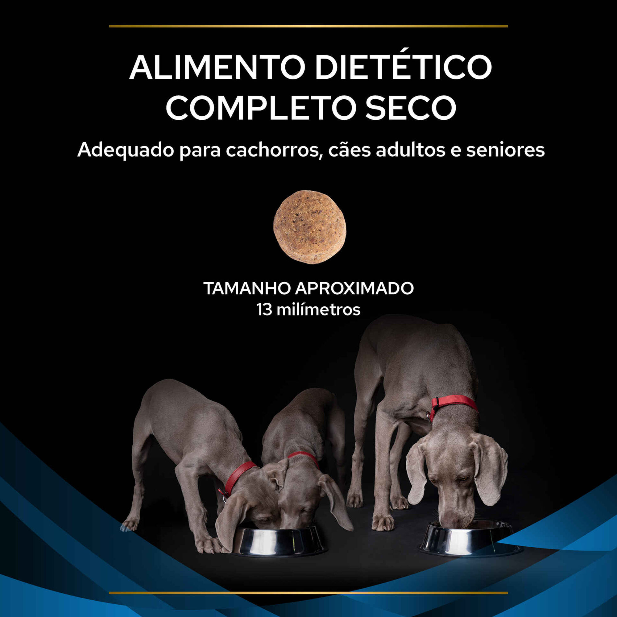 Ração para Cão Adulto Dermatosis