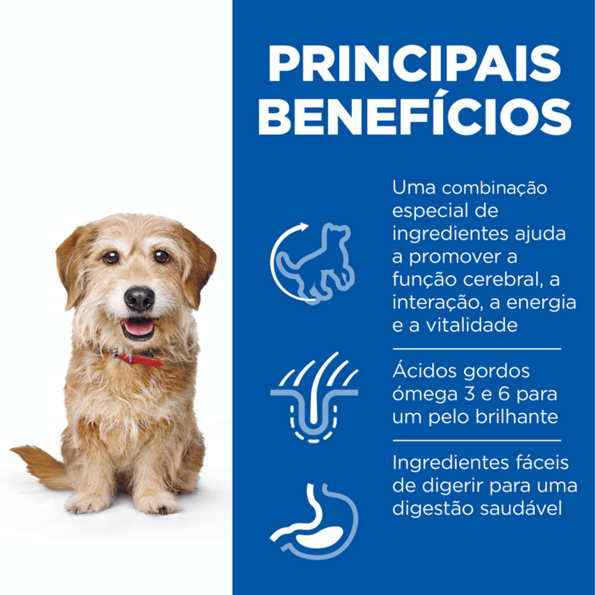 Ração para Cão Adulto 7+ Science Plan Vitality Frango Ração para Cão Adulto 7+ Science Plan Vitality Frango