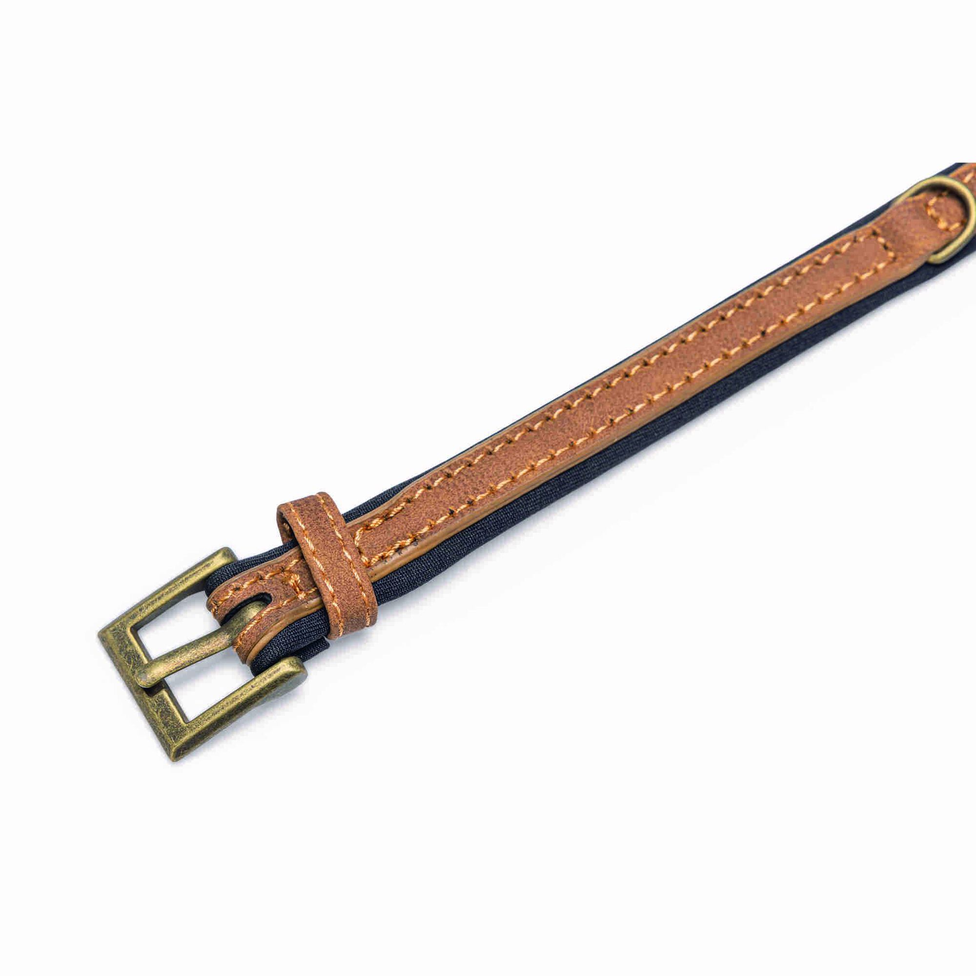 Coleira para Cão Pele Vegan Balacron Coleira para Cão Pele Vegan Balacron