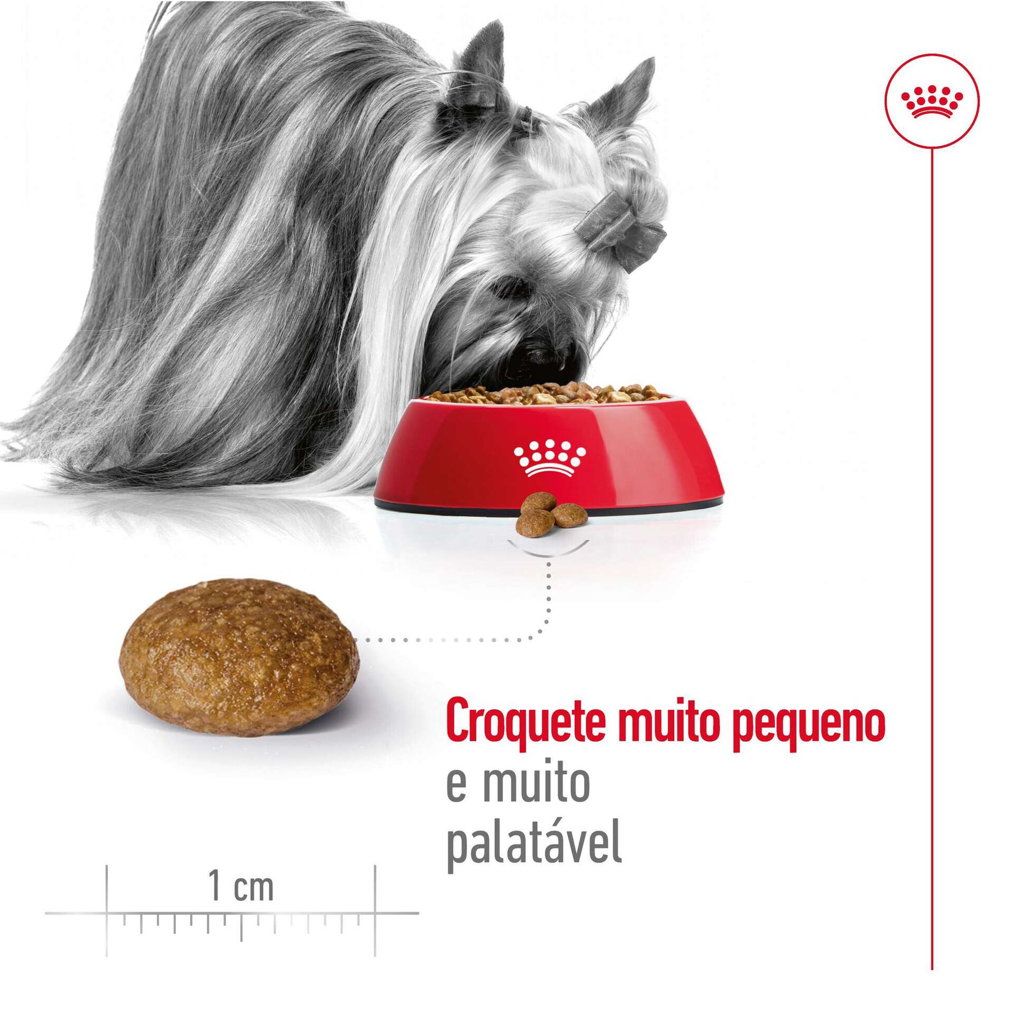 Ração para Cão Adulto Mini Ageing 8+