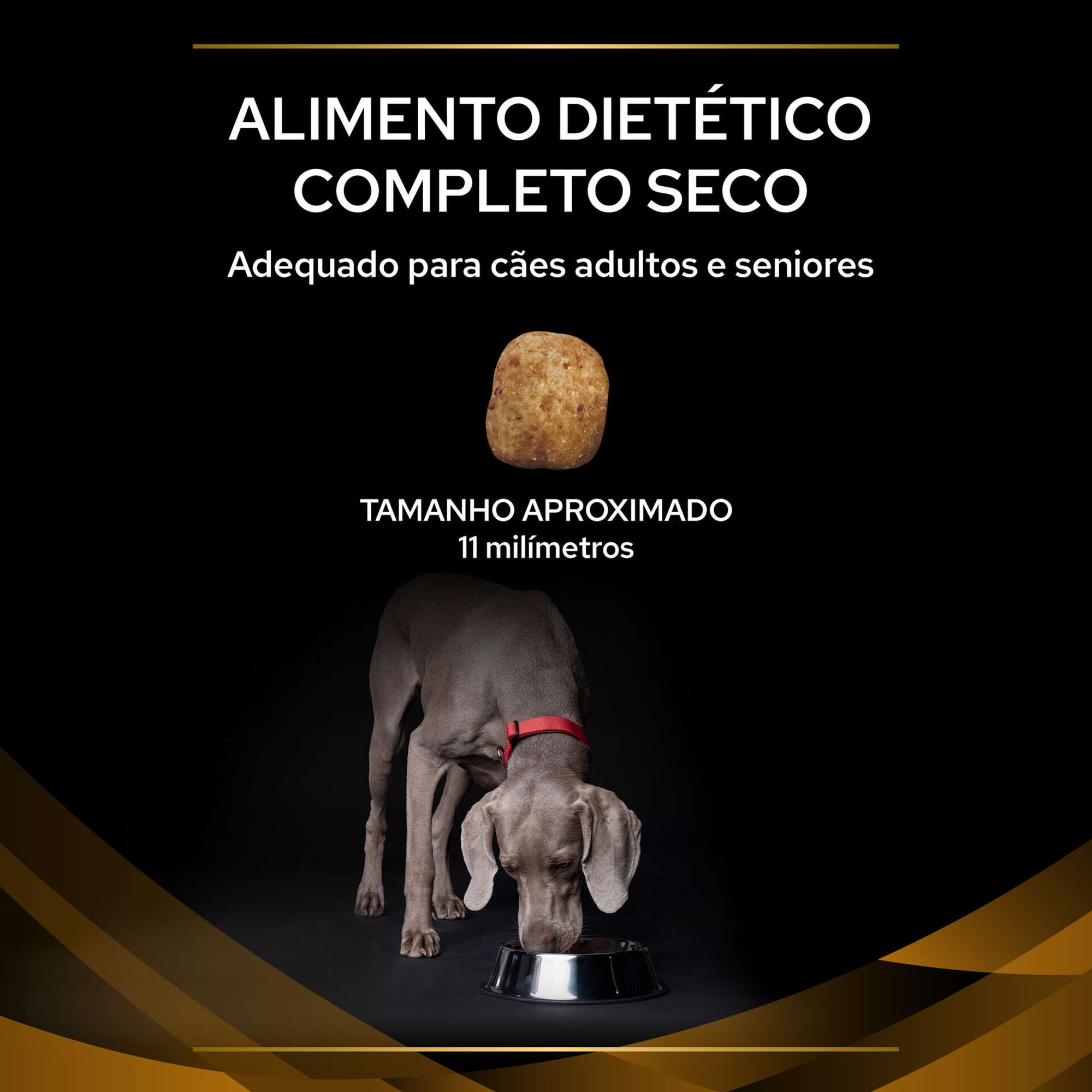 Ração para Cão Adulto Renal Function