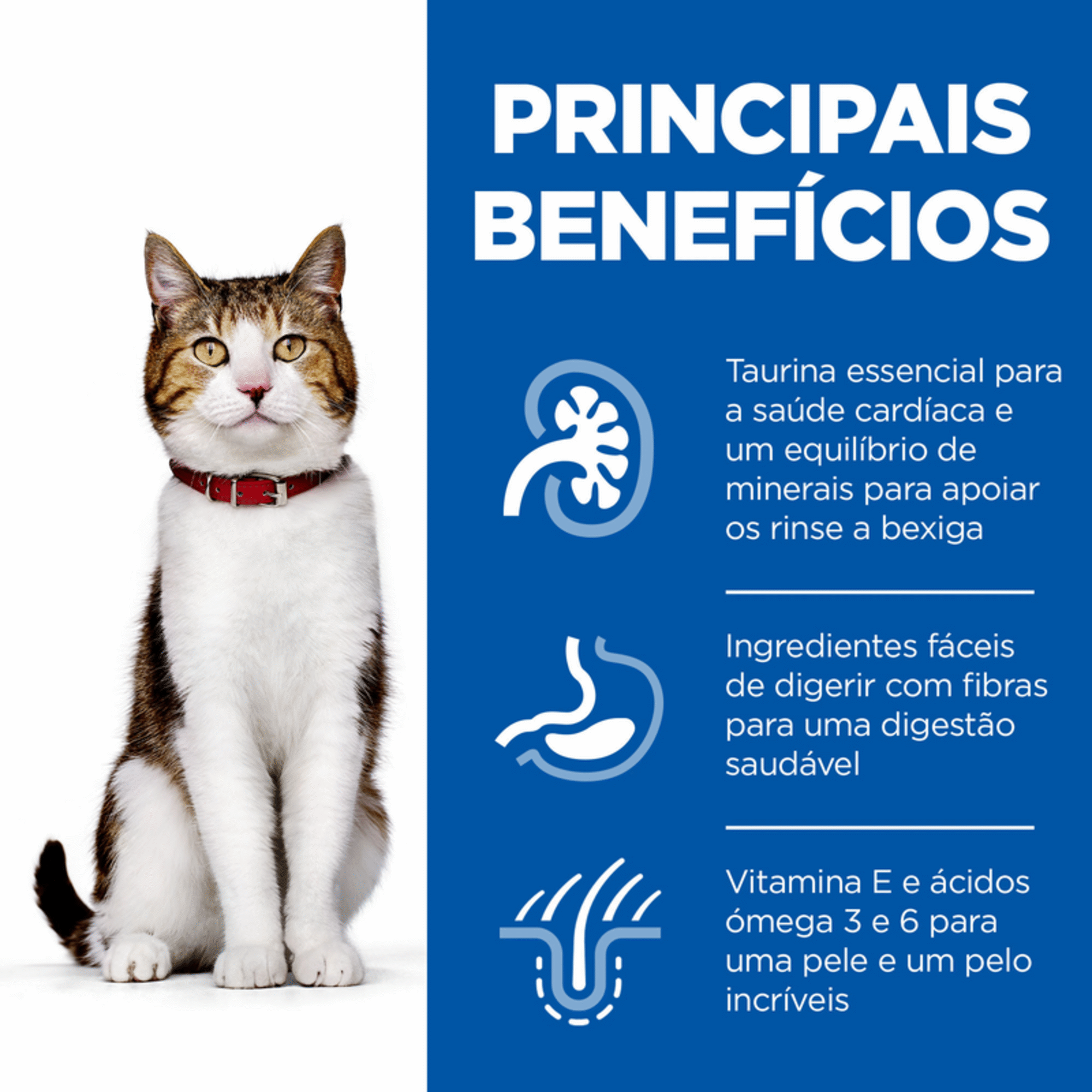 Ração para Gato Adulto Science Plan Maturo 7+ Frango