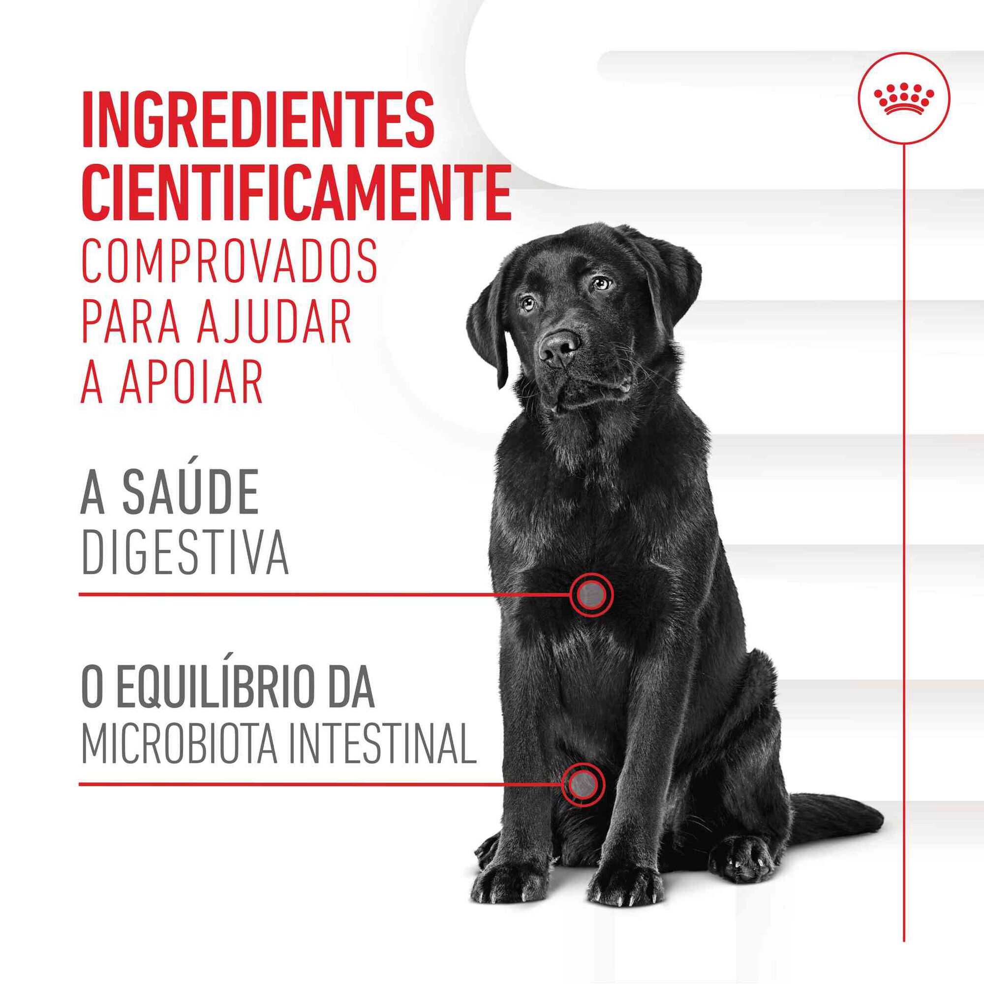 Suplemento Snack para Cão Adulto Digestion Chews