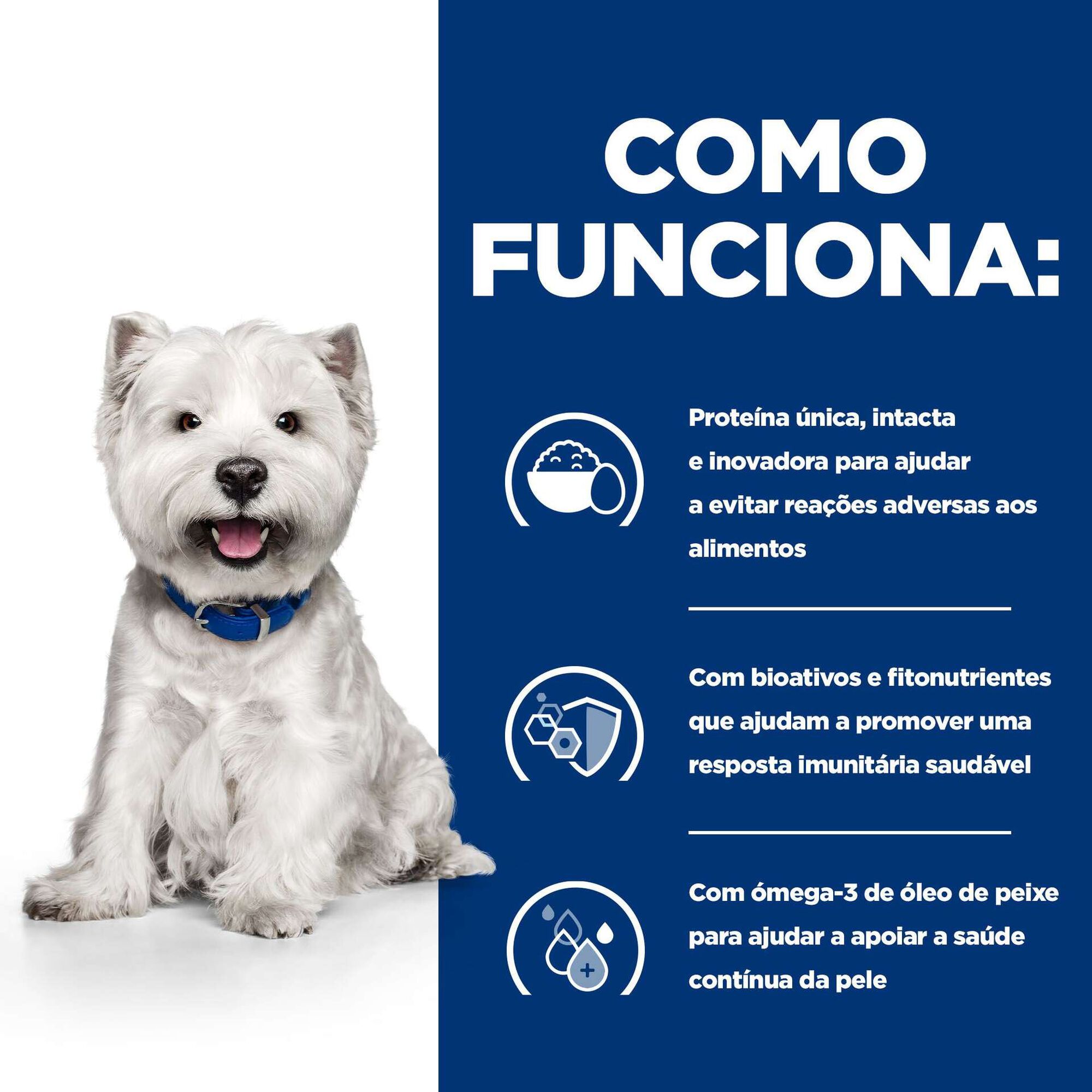 Ra&ccedil;&atilde;o para C&atilde;o Mini Prescription Diet Derm Complete Ovo