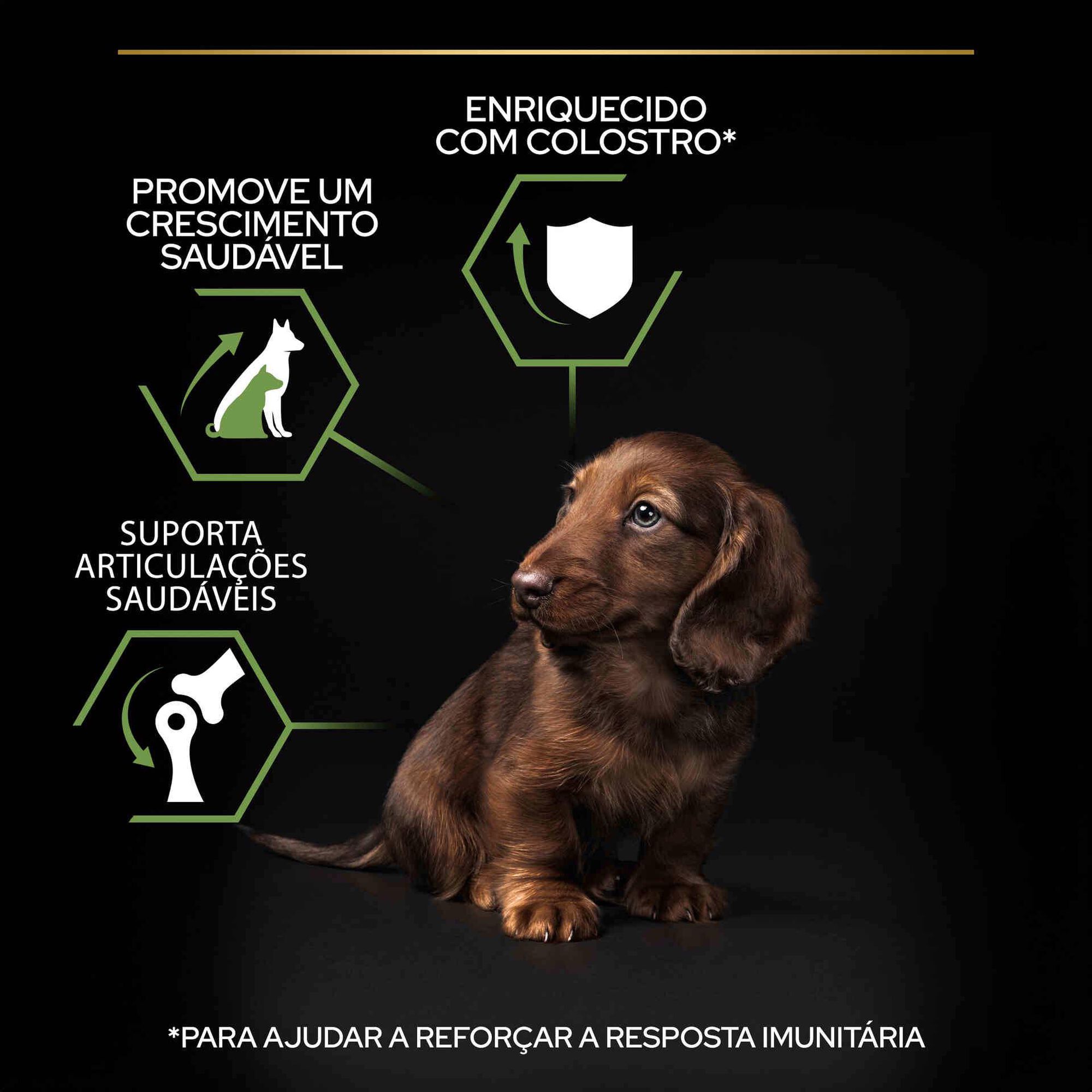 Ração para Cão Júnior  Mini Healthy Start Frango
