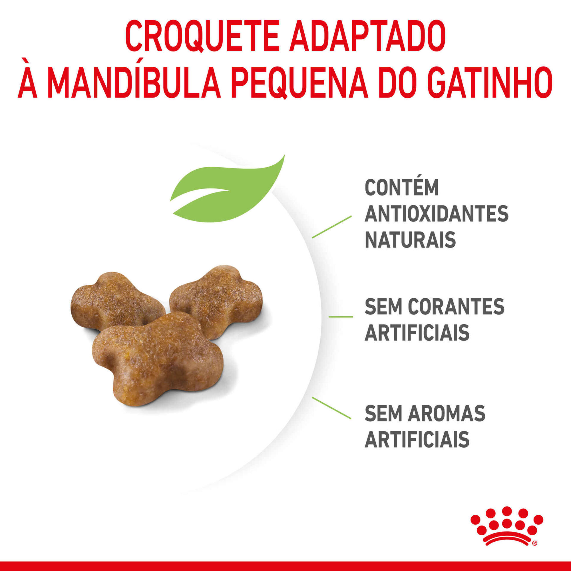 Ração para Gato Júnior