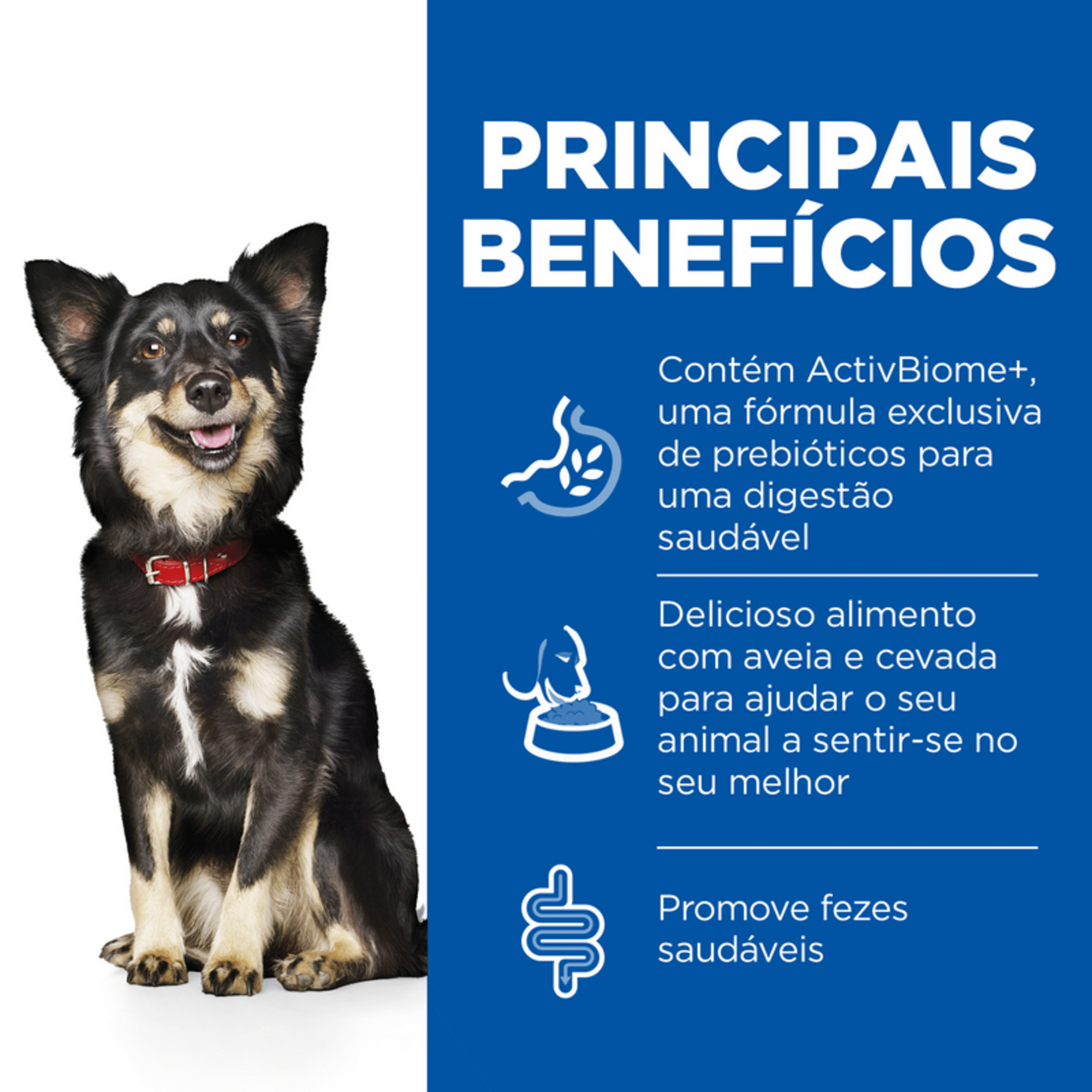 Ração para Cão Adulto Science Plan Perfect Digestion Frango Ração para Cão Adulto Science Plan Perfect Digestion Frango