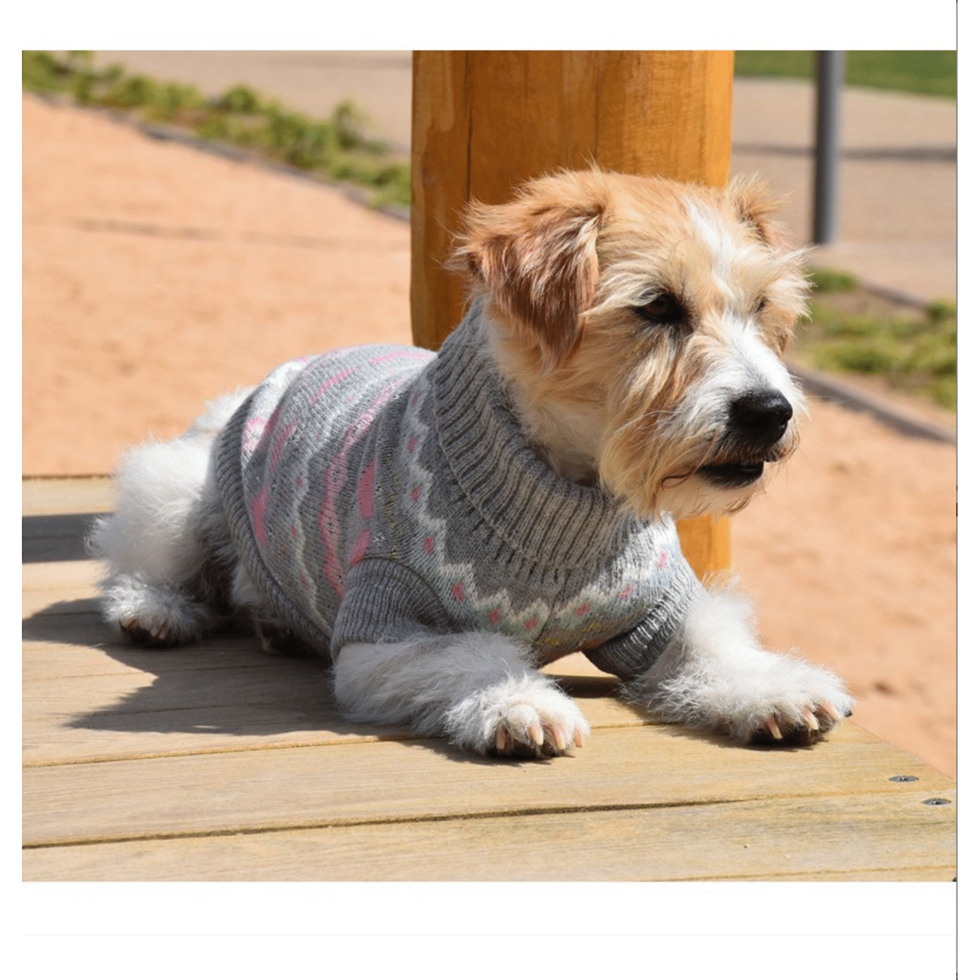 Camisola para Cão Betty Rosa 30 cm