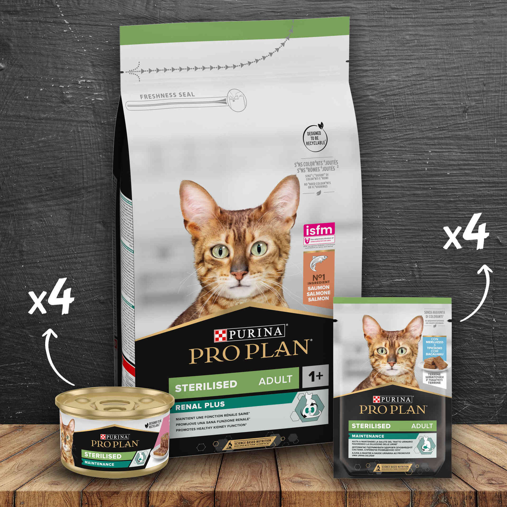 Kit de Alimentação para Gato Adulto Esterilizado