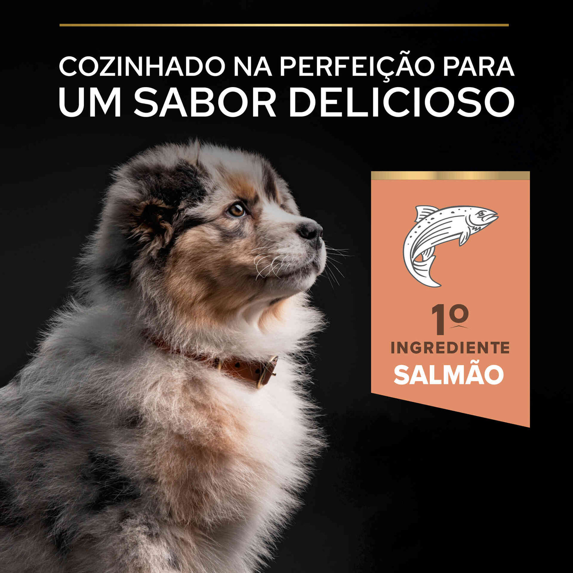 Ração para Cão Júnior Médio Sensitive Skin Salmão