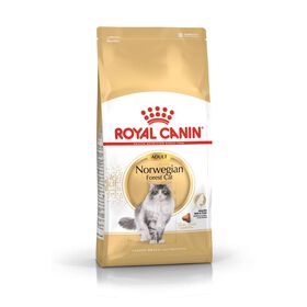 Ração para Gato Adulto Norweigan Forest Cat
