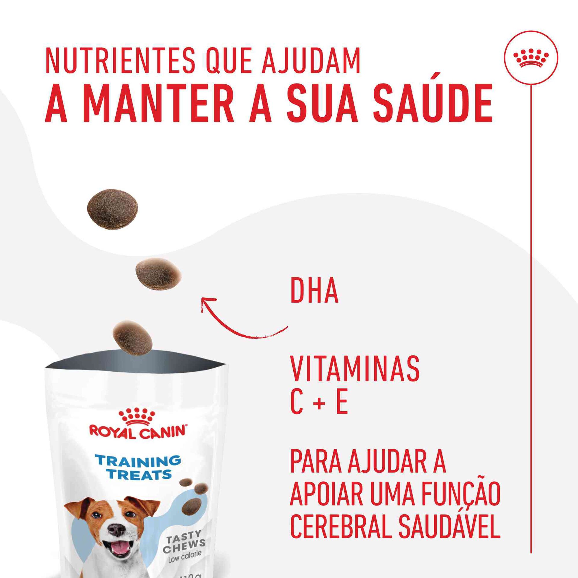 Snack para Cão Training Treats