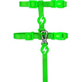 Trela e Arnês para Gato Verde Neon Trela e Arnês para Gato Verde Neon