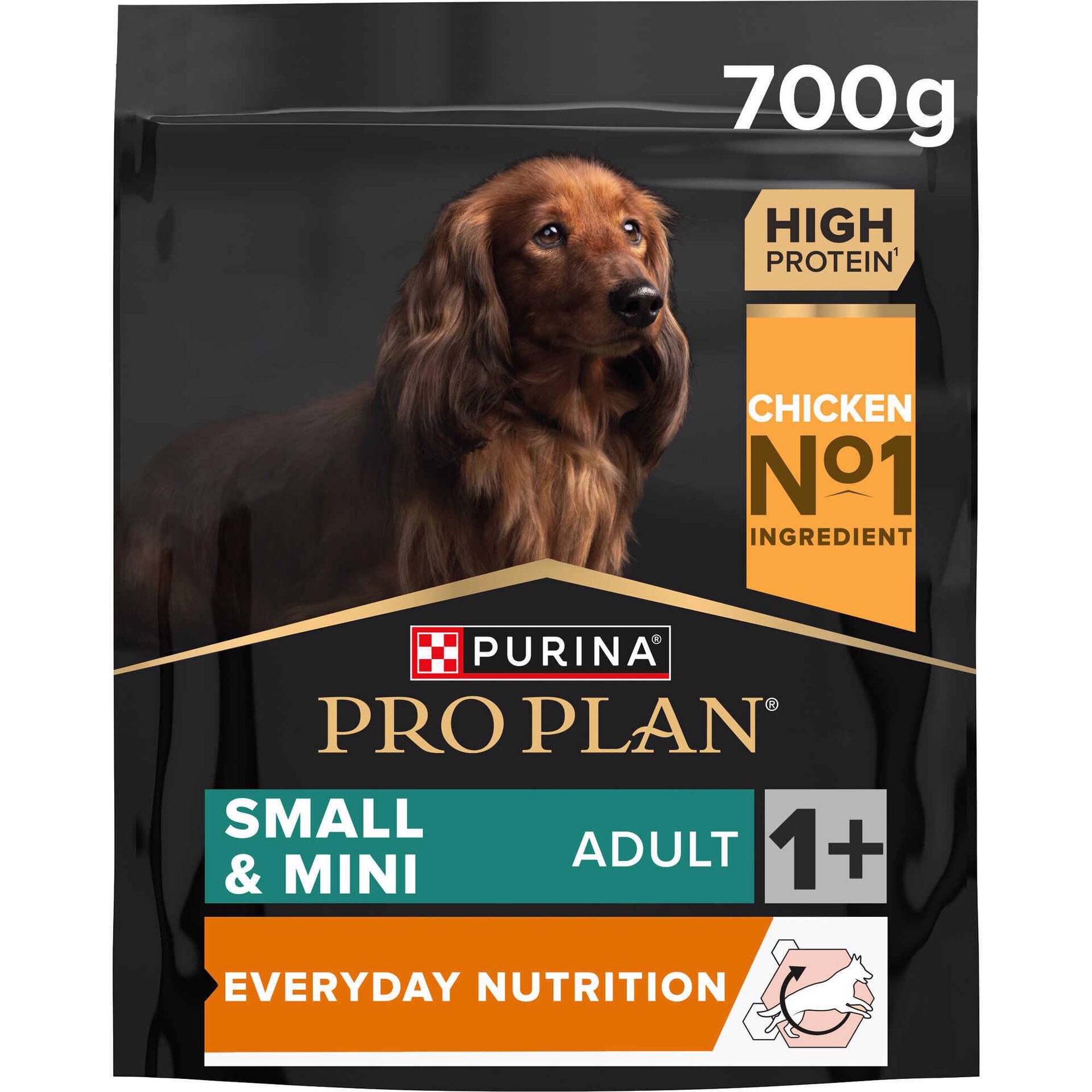 Ração para Cão Adulto Mini Everyday Nutrition Frango