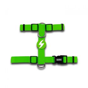 Arn&ecirc;s para C&atilde;o Verde L