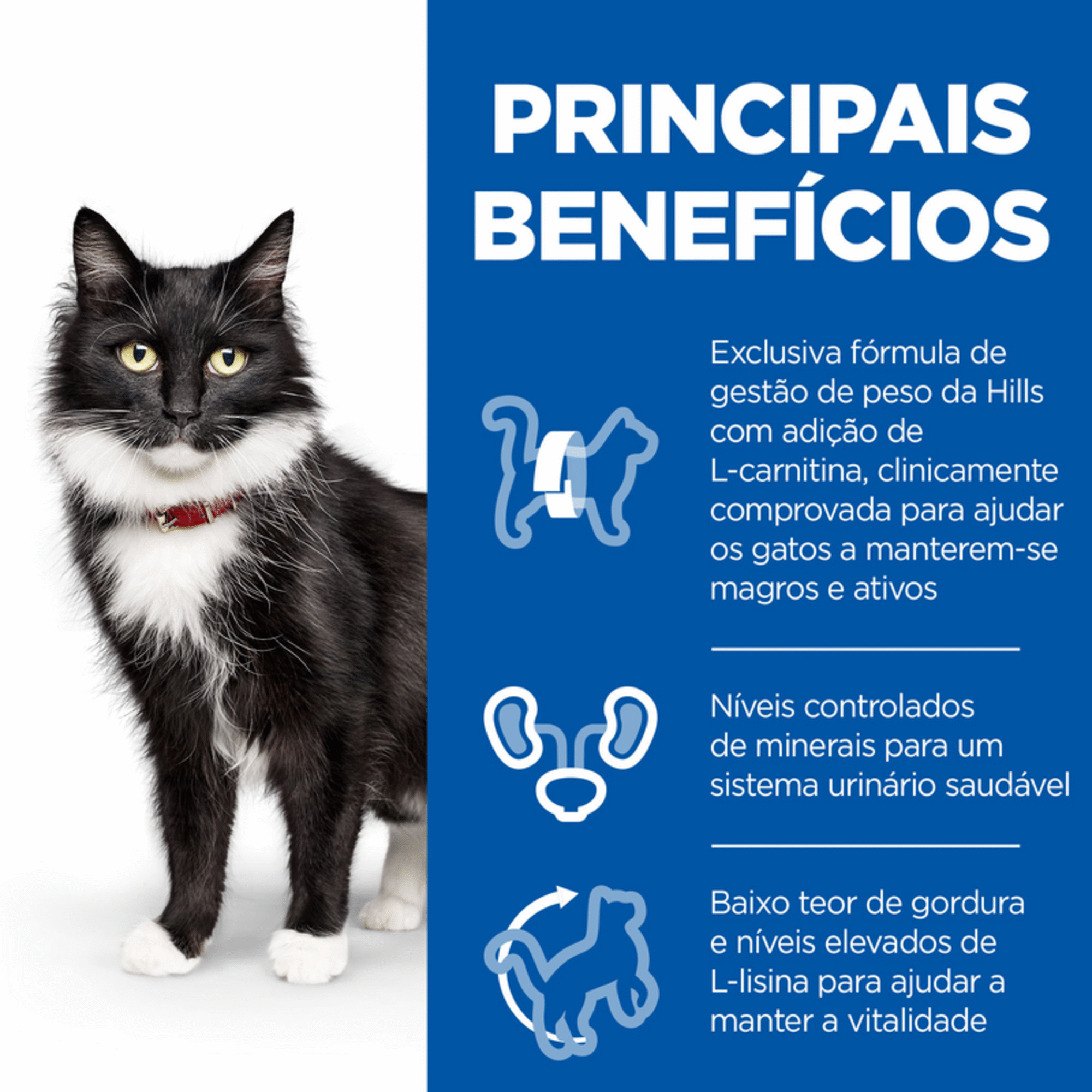 Ração para Gato Adulto Esterilizado Science Plan Maturo 7+ Frango