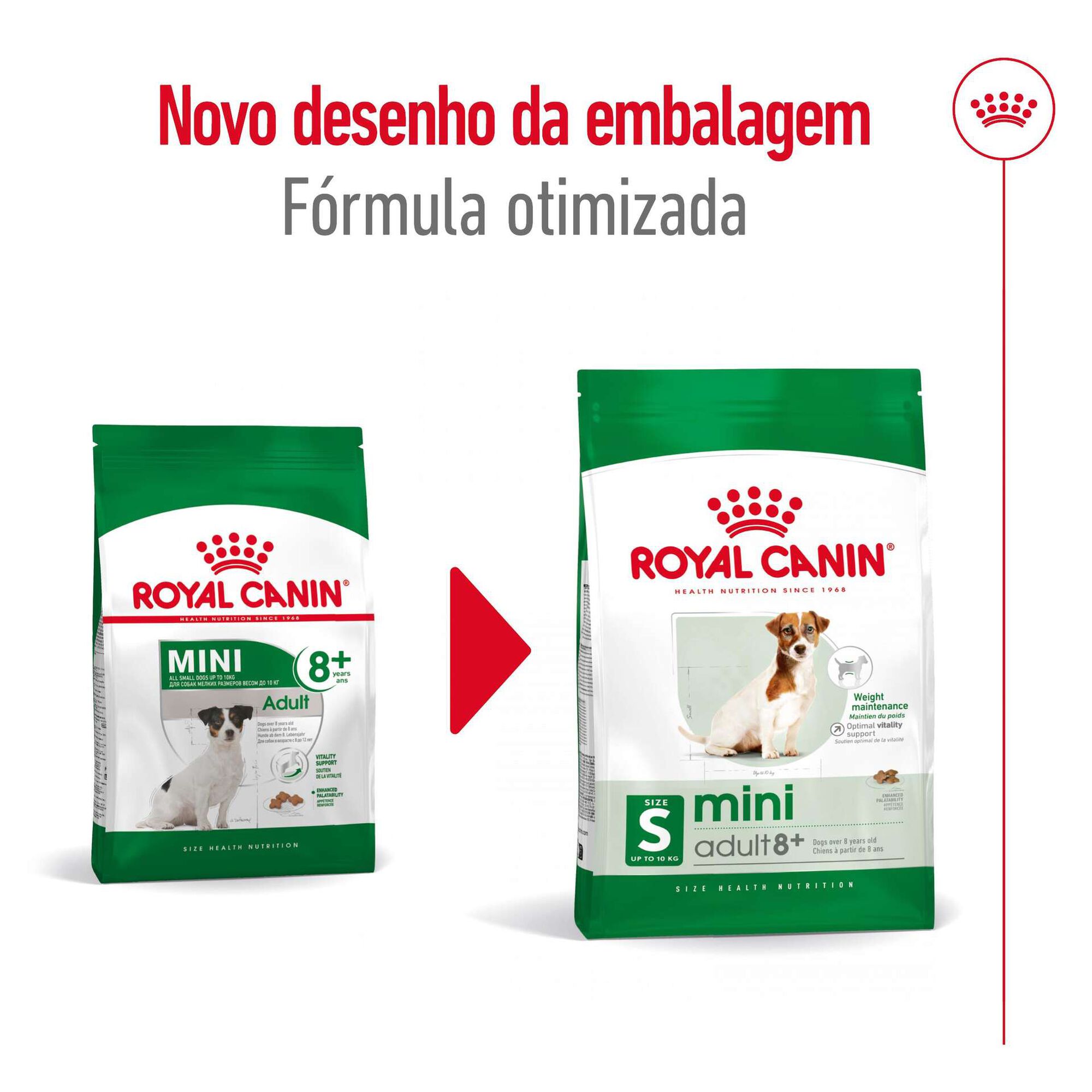 Ração para Cão Sénior Mini Ageing 8+