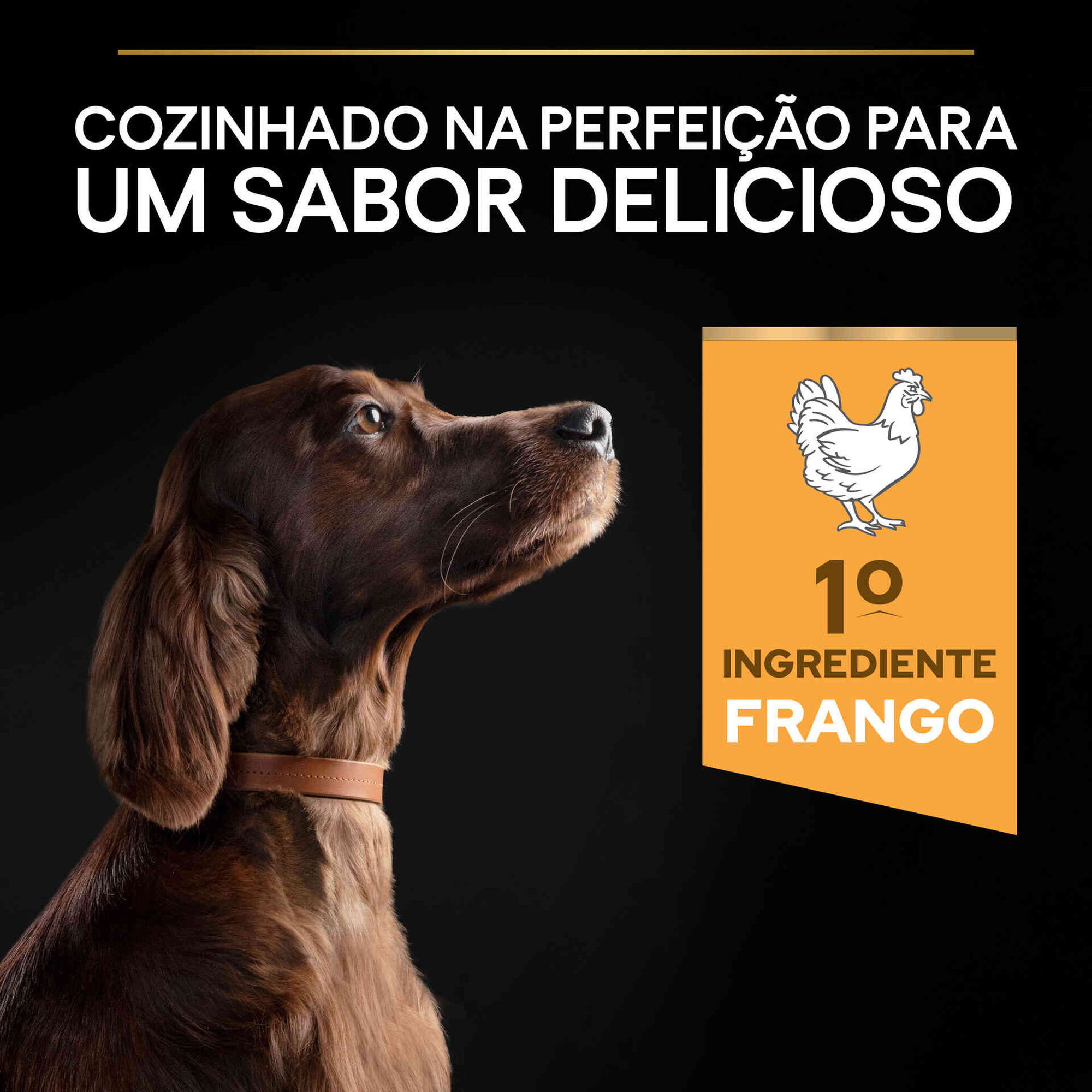 Ração para Cão Adulto Maxi  Athletic Everyday Nutrition Frango