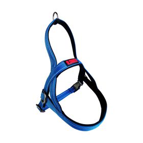 Arn&ecirc;s para C&atilde;o Norwegian Azul XL