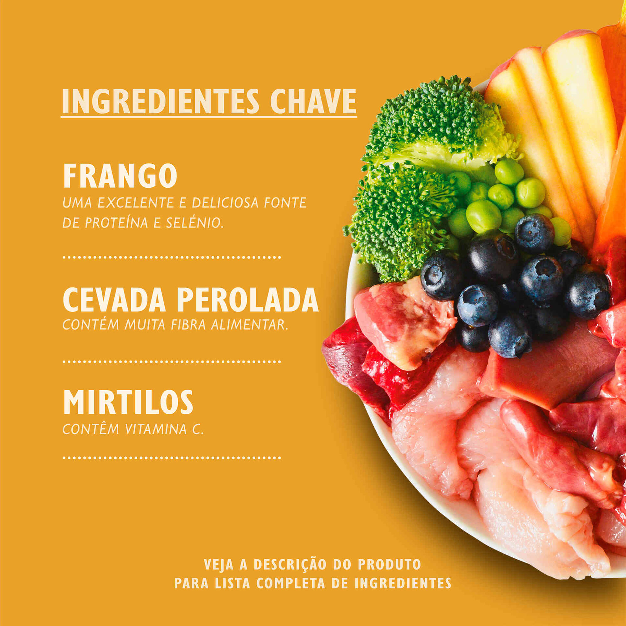 Comida Húmida para Cão Adulto Frango Peru em Lata