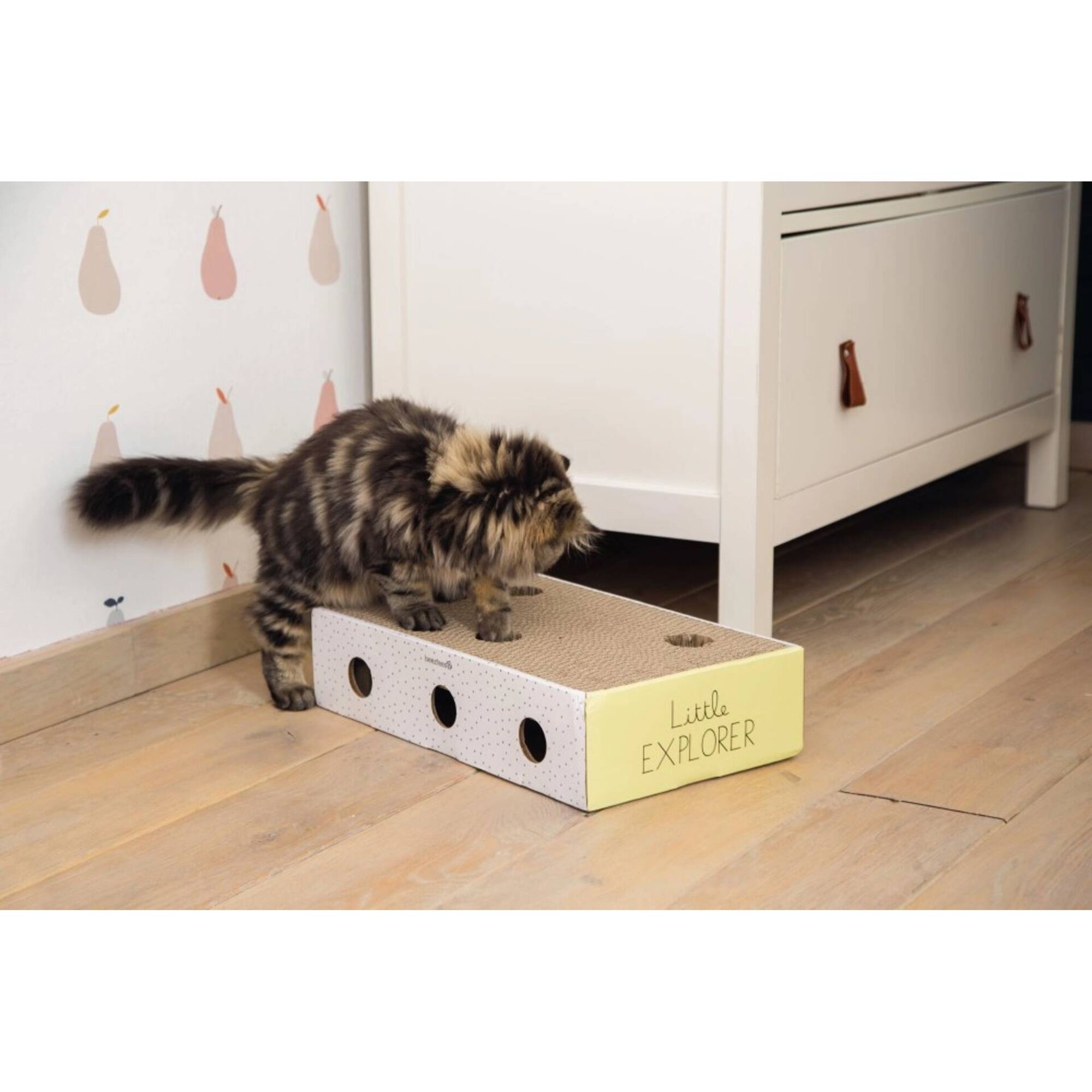 Arranhador de Cartão Arranhador de Cartão